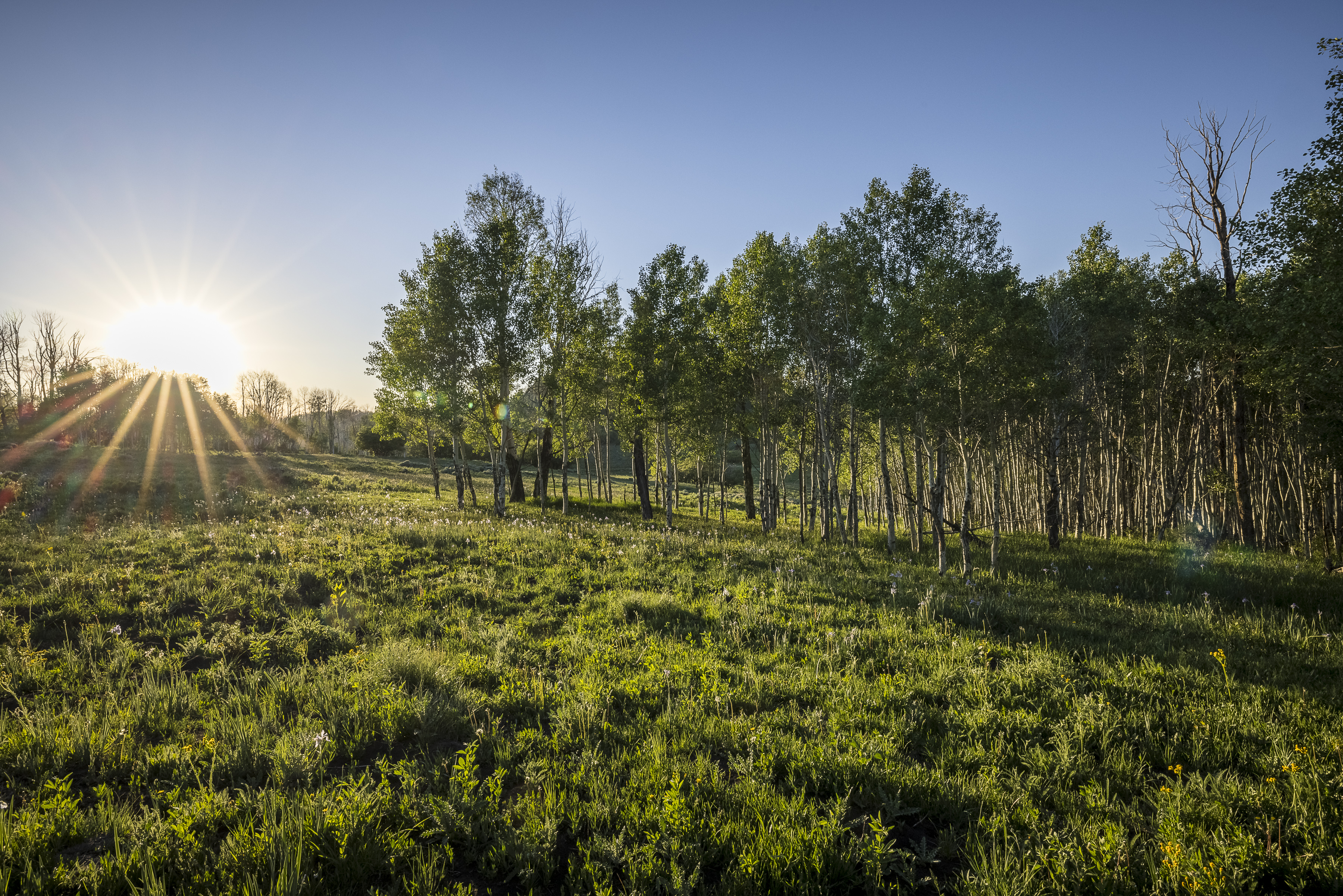  Telluride Renegade Ranch - 602 acres on Hastings Mesa - 物件實景