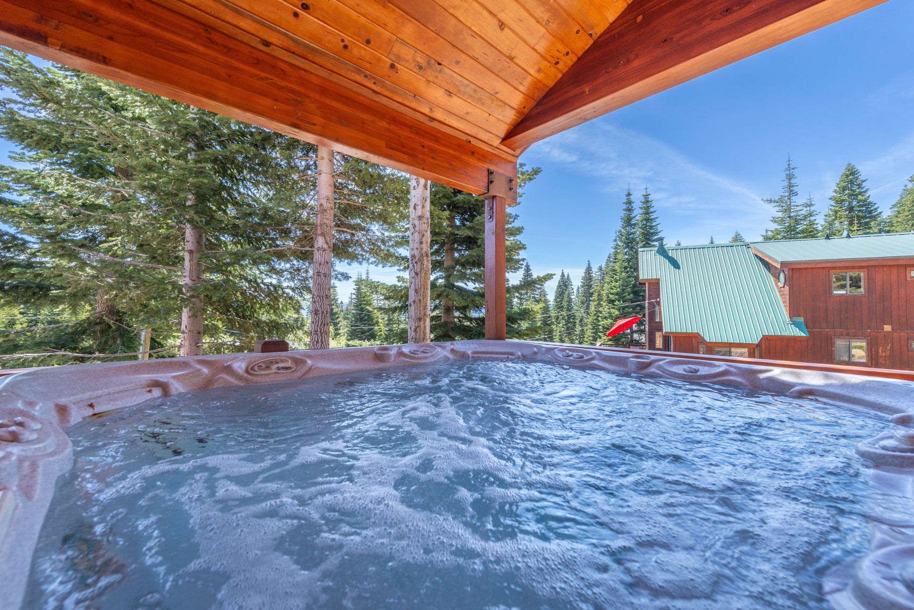  Beautiful Log Home with Carson Range Views from Every Floor - 物件實景
