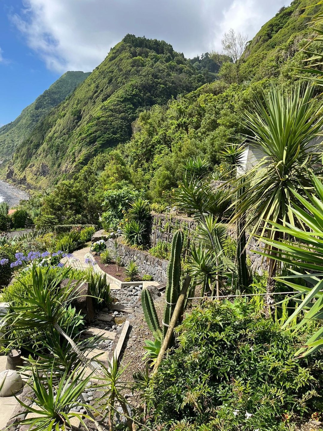 Nordeste, Ilha de São Miguel, PT, 3 Bedrooms Bedrooms, ,3 BathroomsBathrooms,Residential,For Sale,1882460