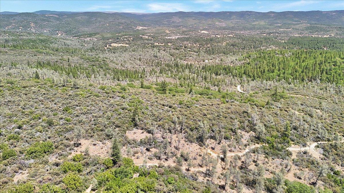 Oregon House, California, 95962, United States, ,Land,For Sale,1975767