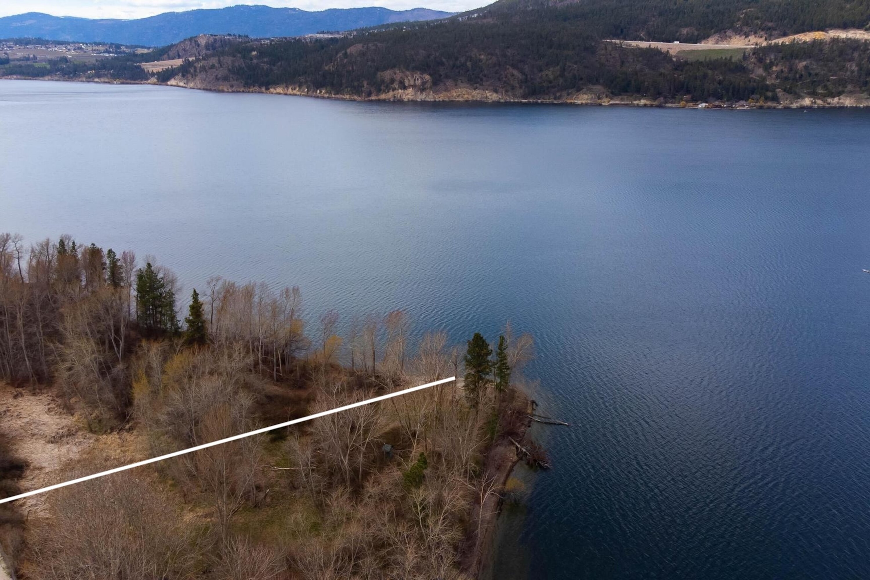  Lakeshore Parcel in Oyama - 物件實景