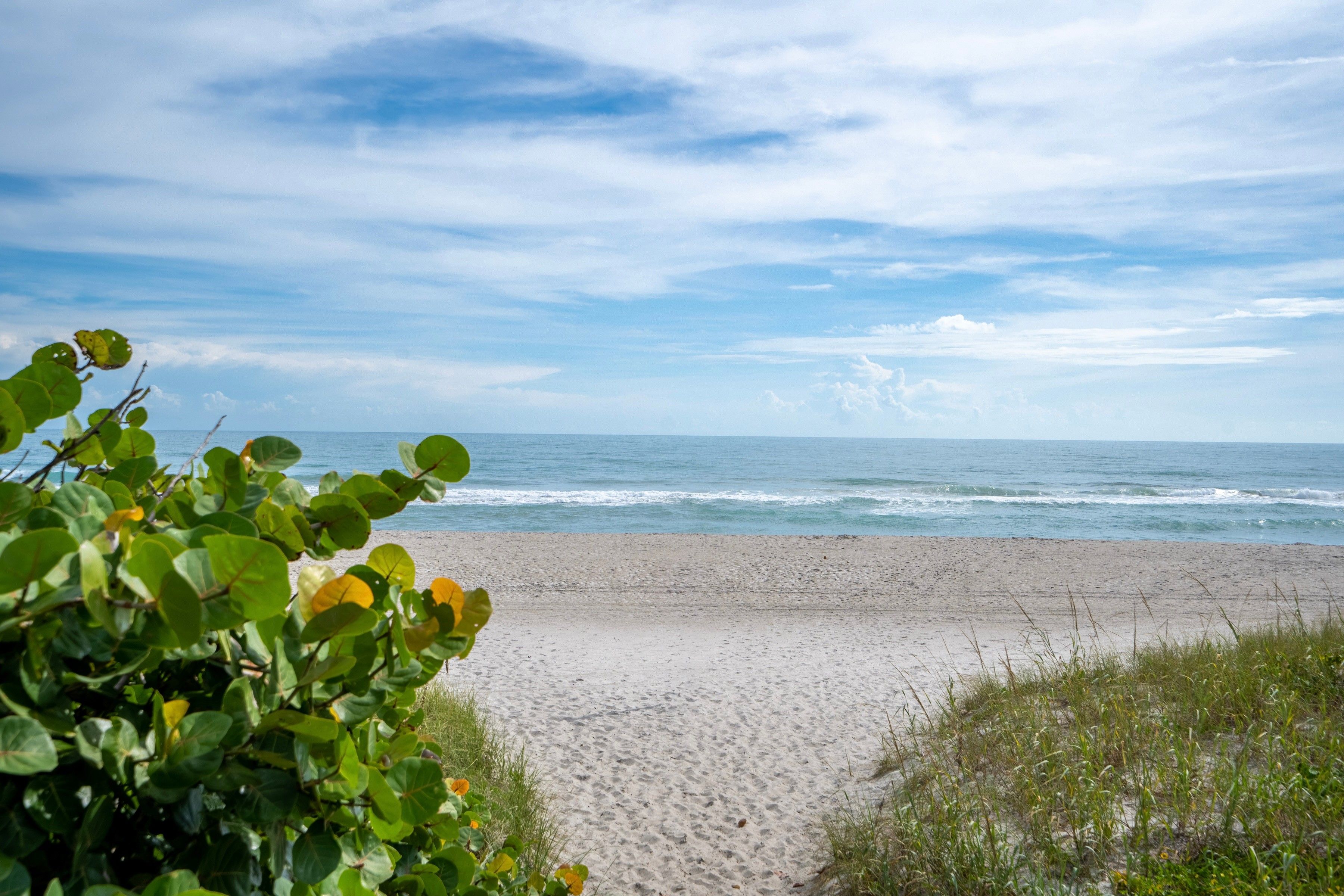  1209 S Riverside Drive, Indialantic, FL, 32903 - 物件實景