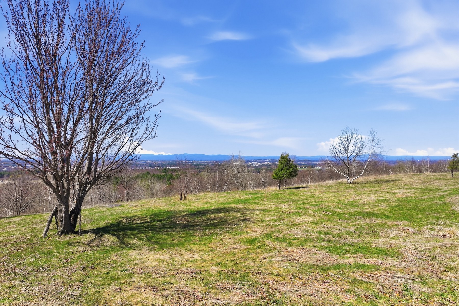  351 Ledgewood Drive - 物件實景