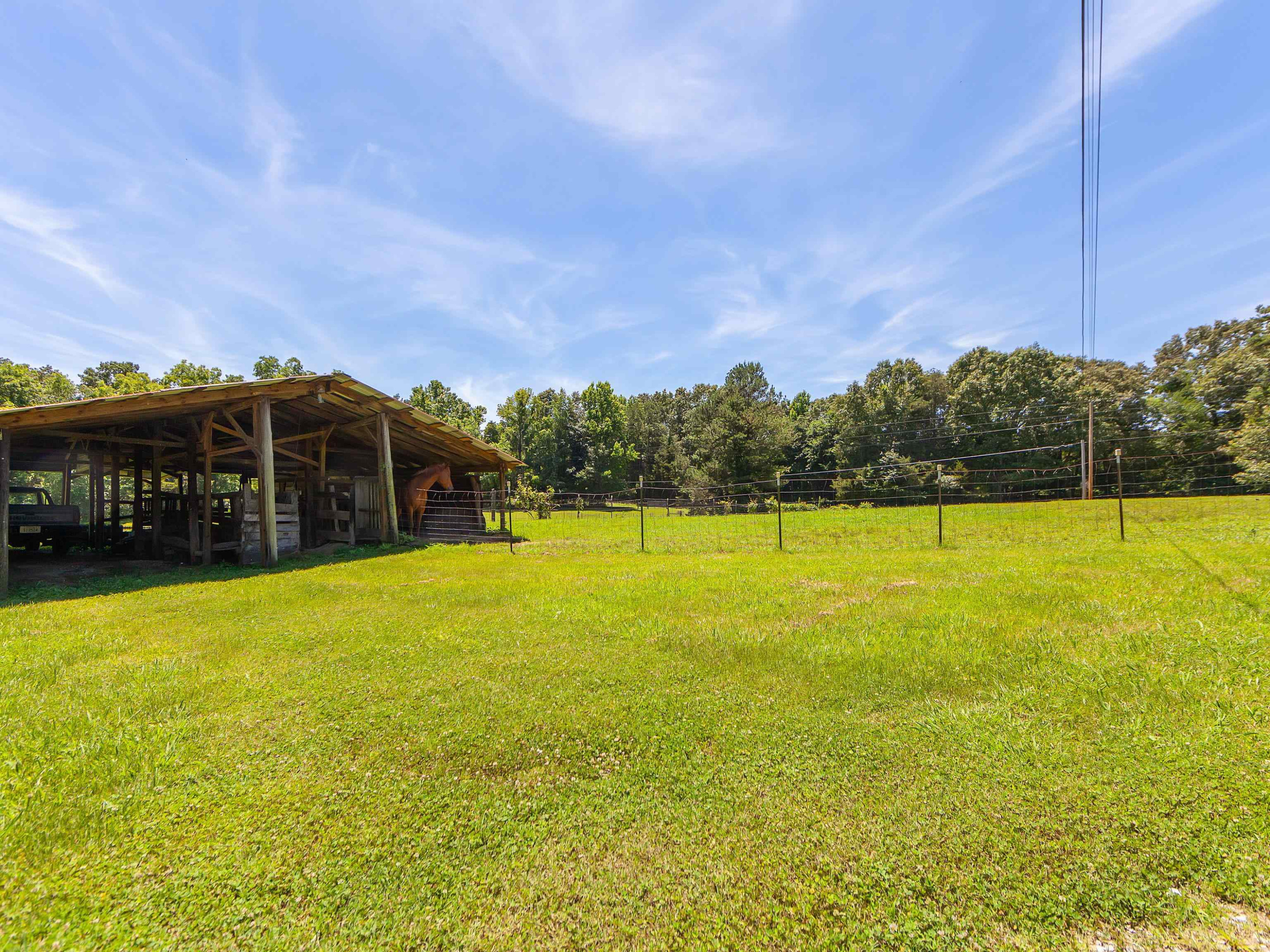 Medina, Tennessee, 38355, United States, 6 Bedrooms Bedrooms, ,4 BathroomsBathrooms,Residential,For Sale,1907793