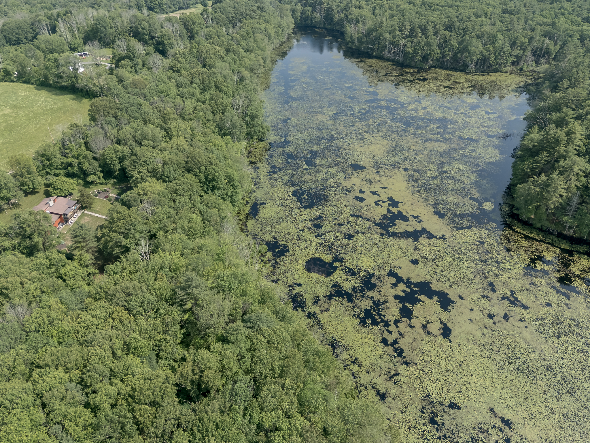 Southbridge, Massachusetts, 01550, United States, 5 Bedrooms Bedrooms, ,3 BathroomsBathrooms,Residential,For Sale,1974203