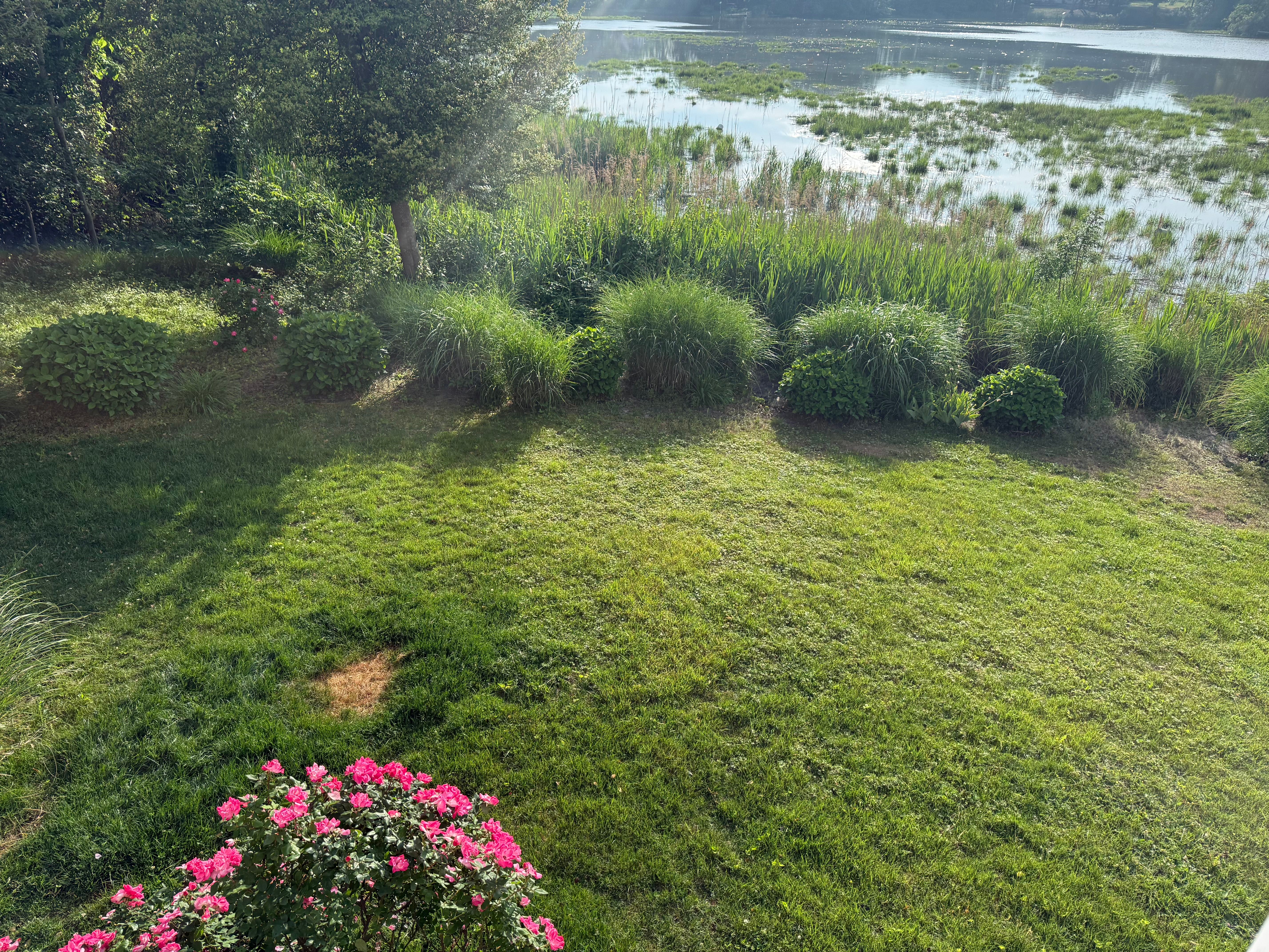  1 Barr, Linwood, NJ, 08221 - 物件實景