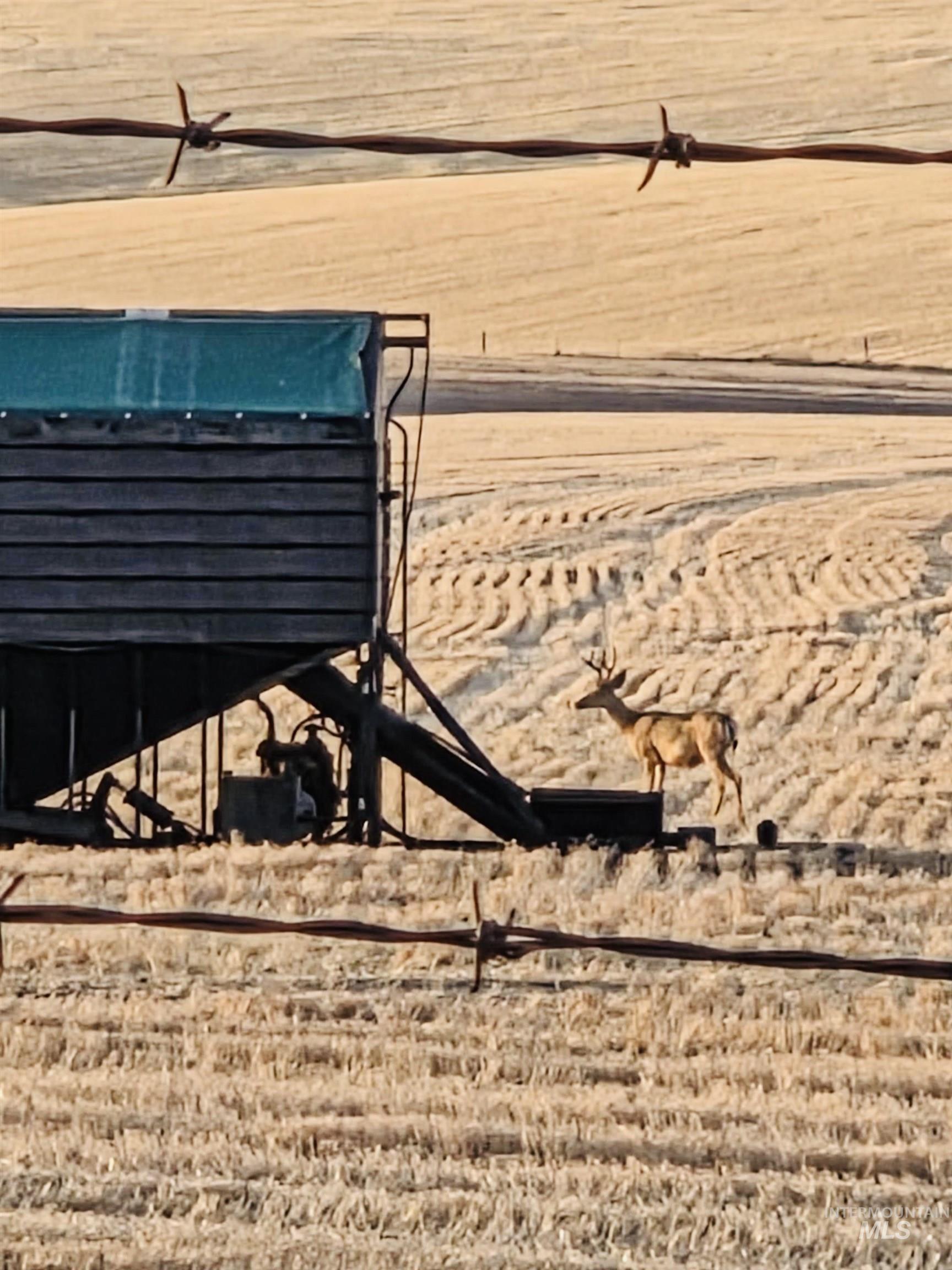 Pomeroy, Washington, 99347, United States, ,Residential,For Sale,1997007