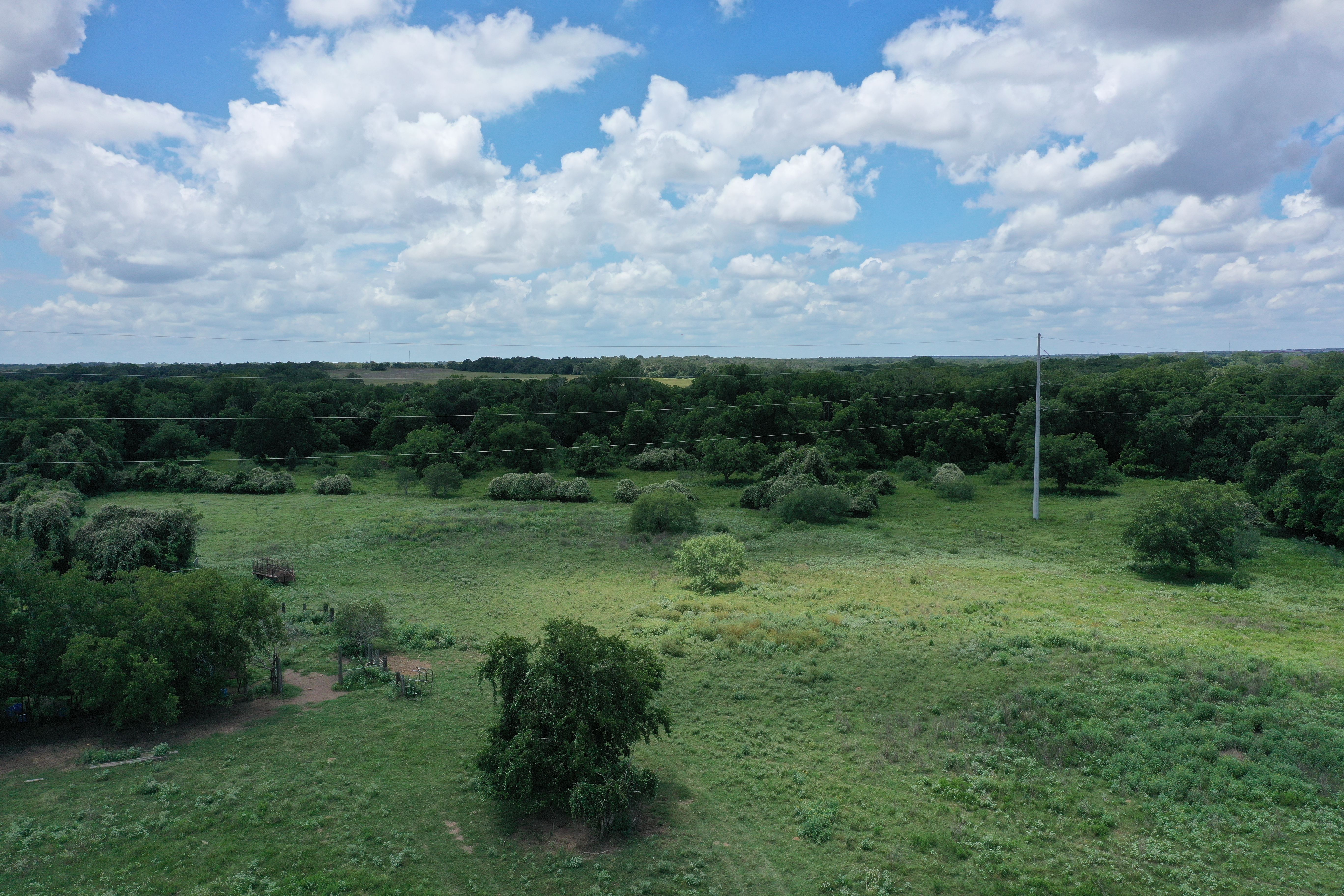  Buck Branch Ranch - 物件實景