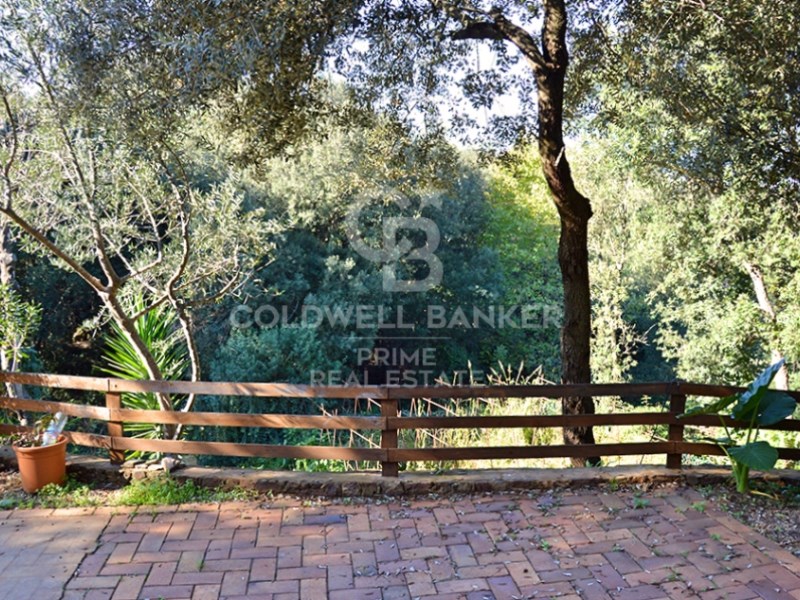Girona, Begur, Residencial Begur - Esclany? Girona, Begur, Catalonia, ES, 5 Bedrooms Bedrooms, ,3 BathroomsBathrooms,Residential,For Sale,Girona, Begur, Residencial Begur - Esclany? Girona,1448667