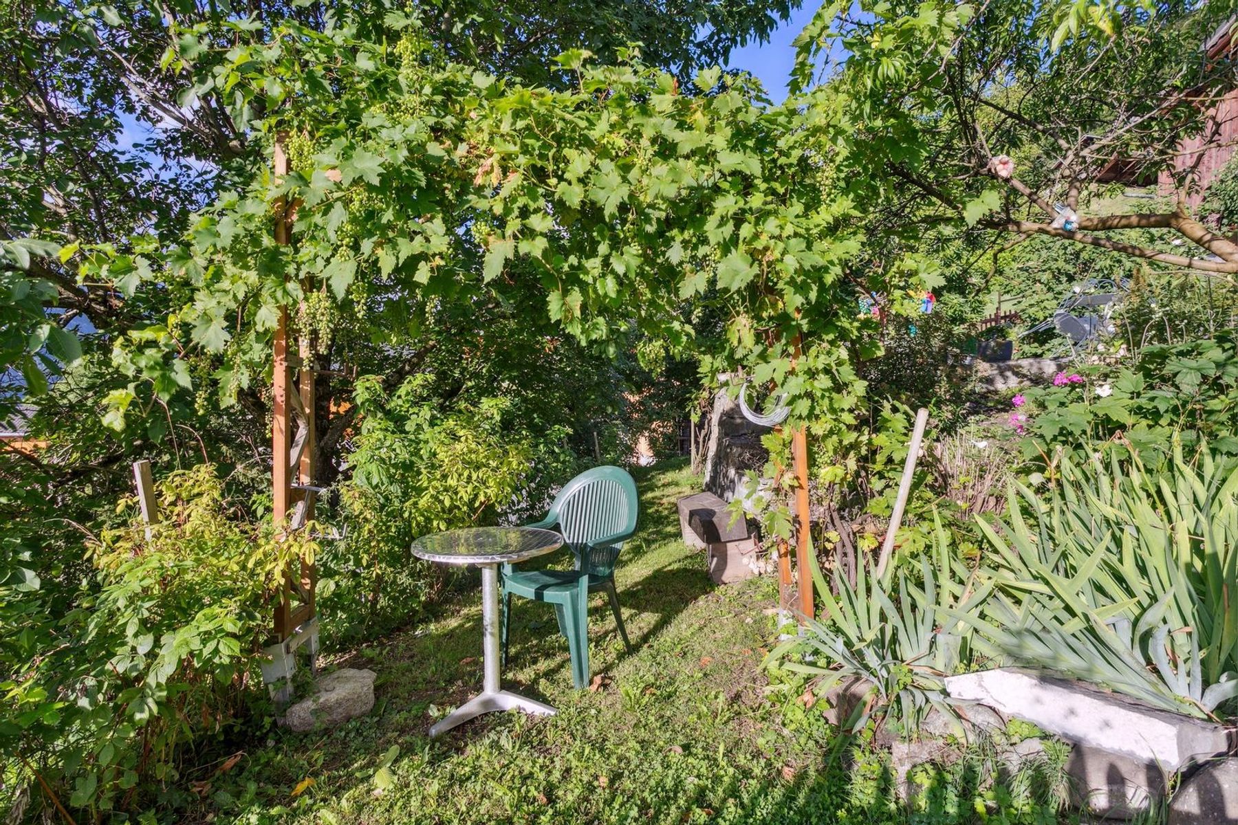  Magnificent chalet with cachet, sunny location, garden and mazot - 物件實景