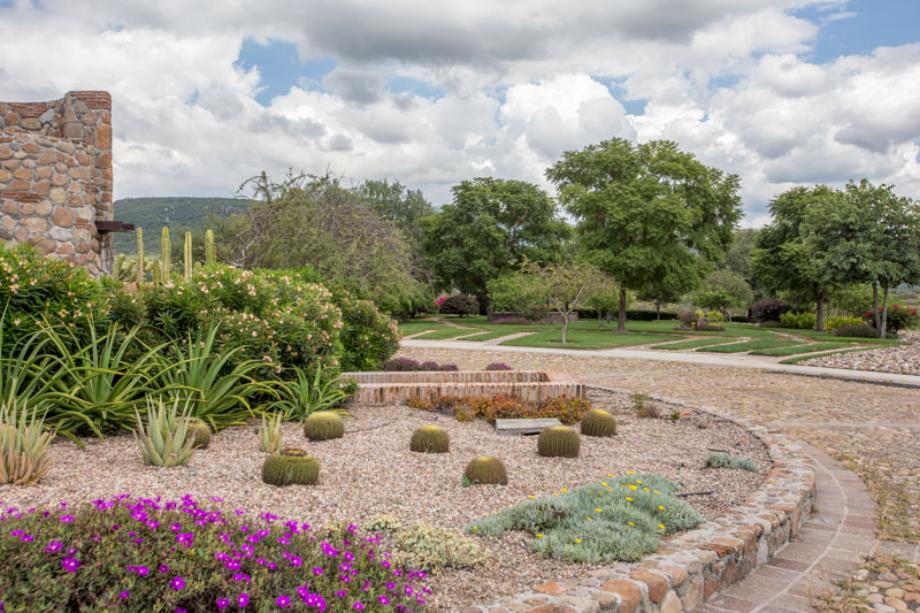 Malbec, San Miguel de Allende, Guanajuato, 37898, Mexico, 1 Bedroom Bedrooms, ,Residential,For Sale,Malbec,1443575