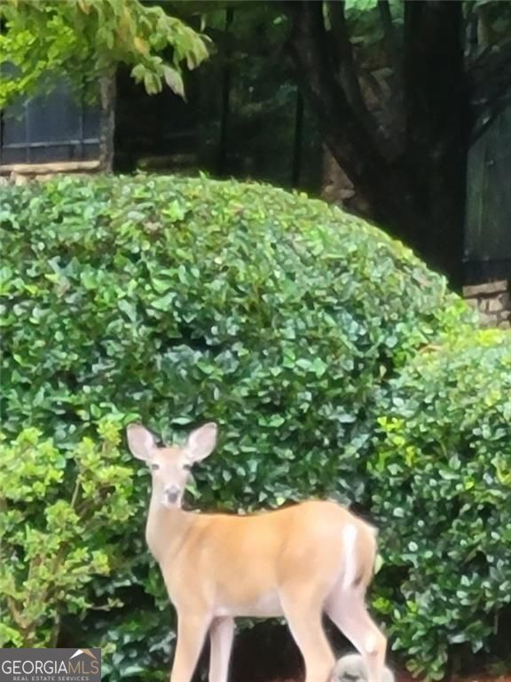 Cumming, Georgia, 30041, United States, 4 Bedrooms Bedrooms, ,4 BathroomsBathrooms,Residential,For Sale,1929935