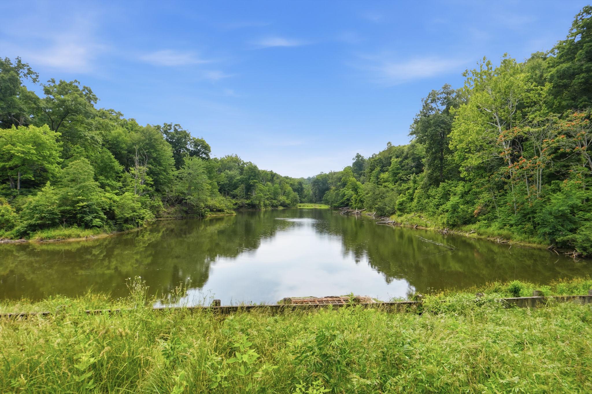  2269 River Birch Road, Dumfries, VA, 22026 - 物件實景