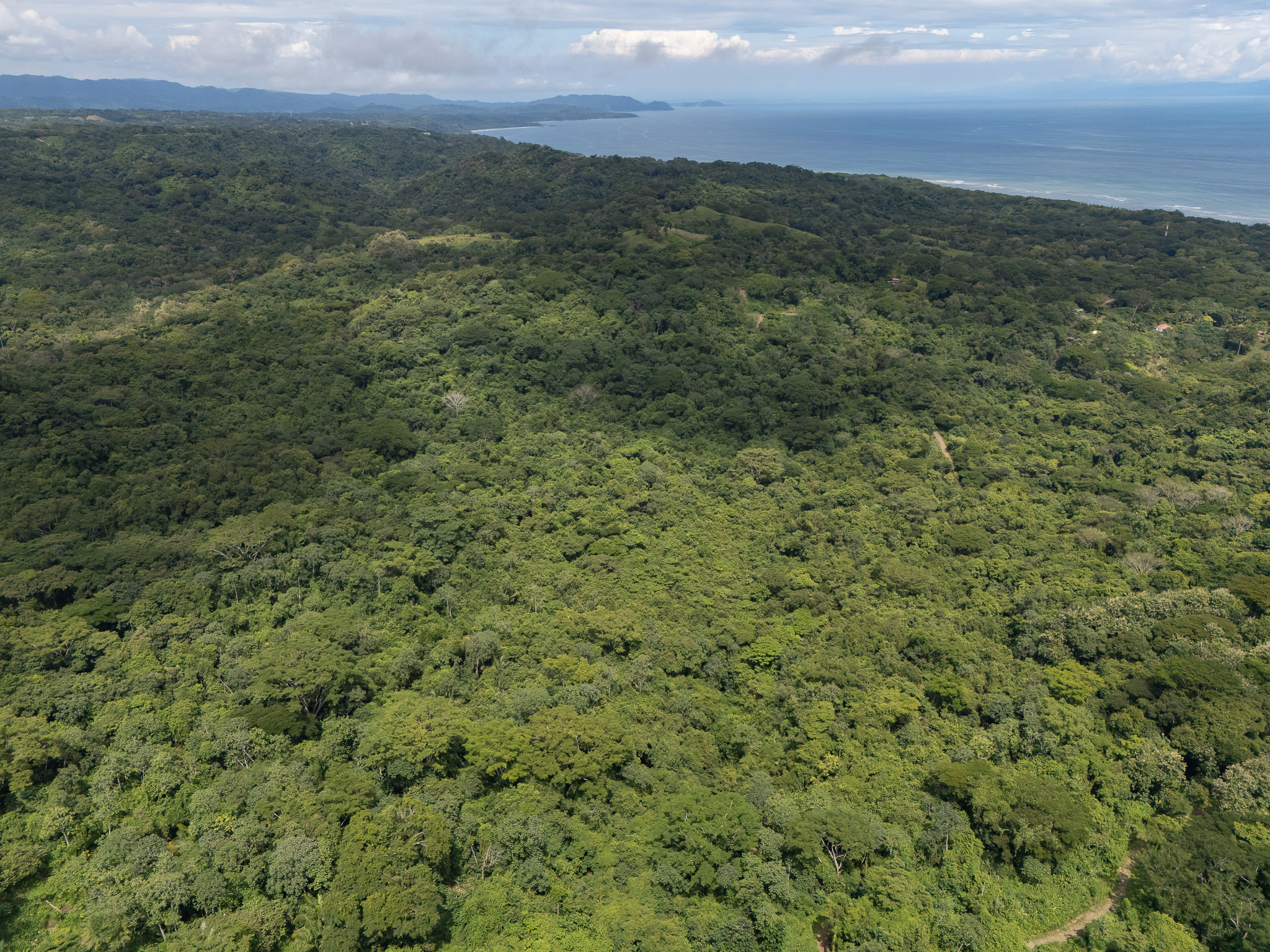 Cabuya, Puntarenas, 60111, CR, ,Land,For Sale,1999062