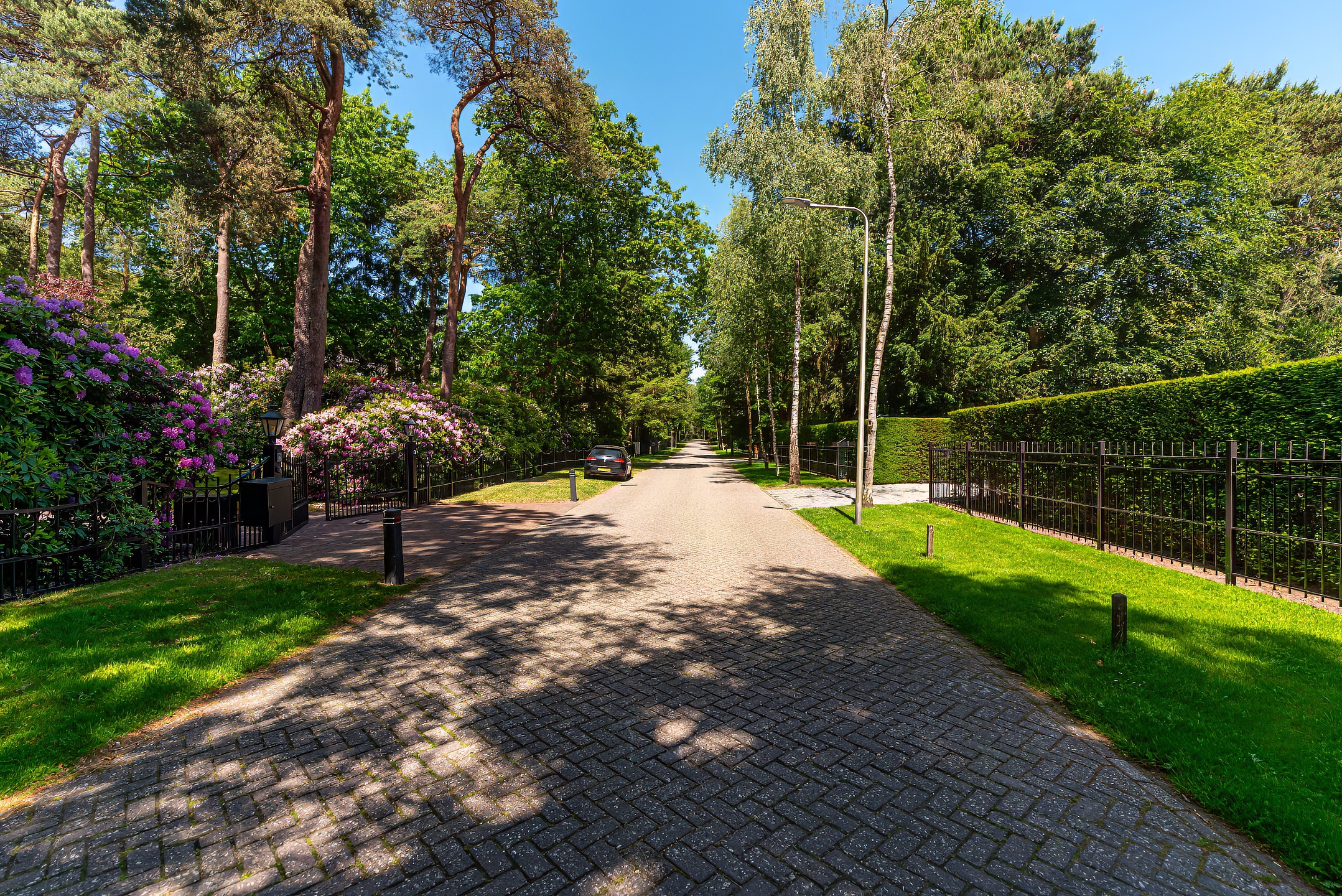  A Private Park Estate in the Heart of Bosch en Duin - 物件實景