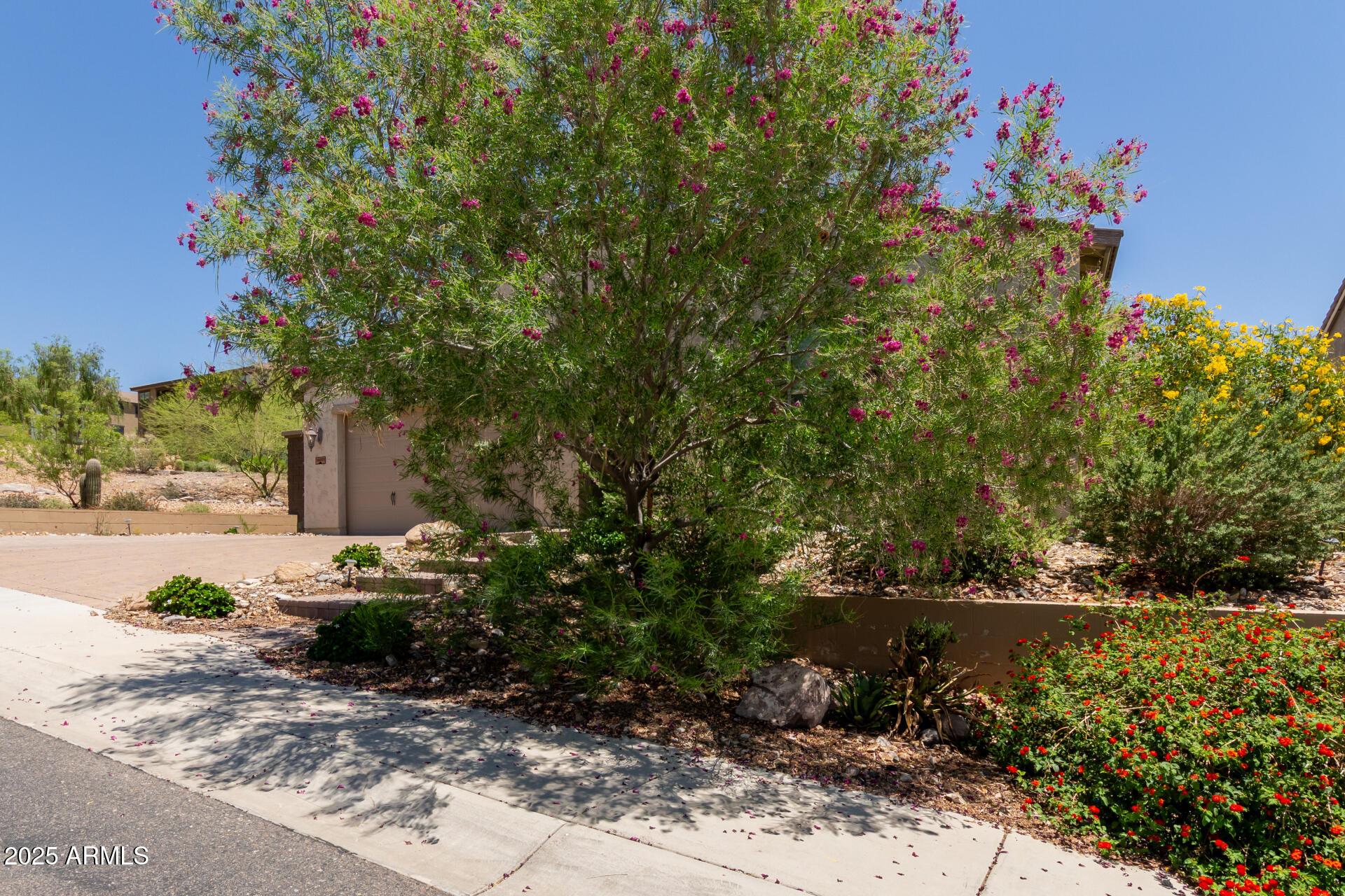 Phoenix, Arizona, 85085, United States, 4 Bedrooms Bedrooms, ,3 BathroomsBathrooms,Residential,For Sale,1937204
