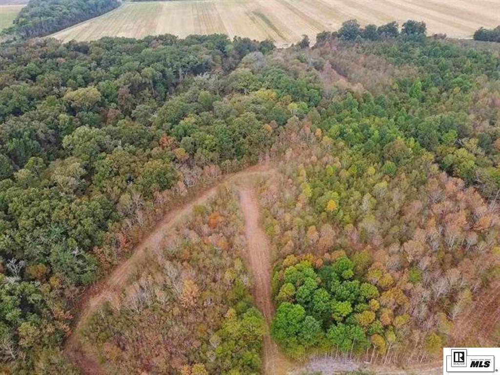 491 FORTENBERRY ROAD, Rayville, Louisiana, 71269, United States, ,Land,For Sale,491 FORTENBERRY ROAD,1683362