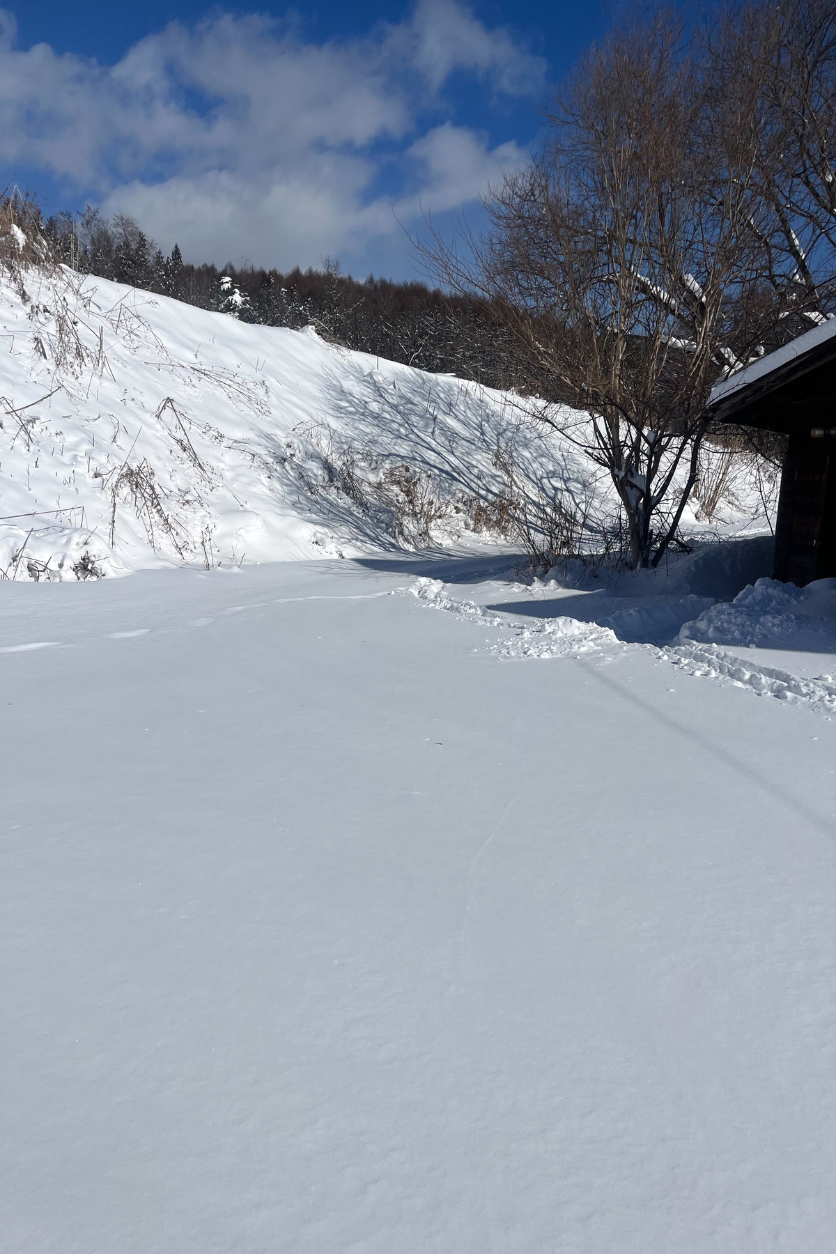  Mizukami Ranch - 物件實景