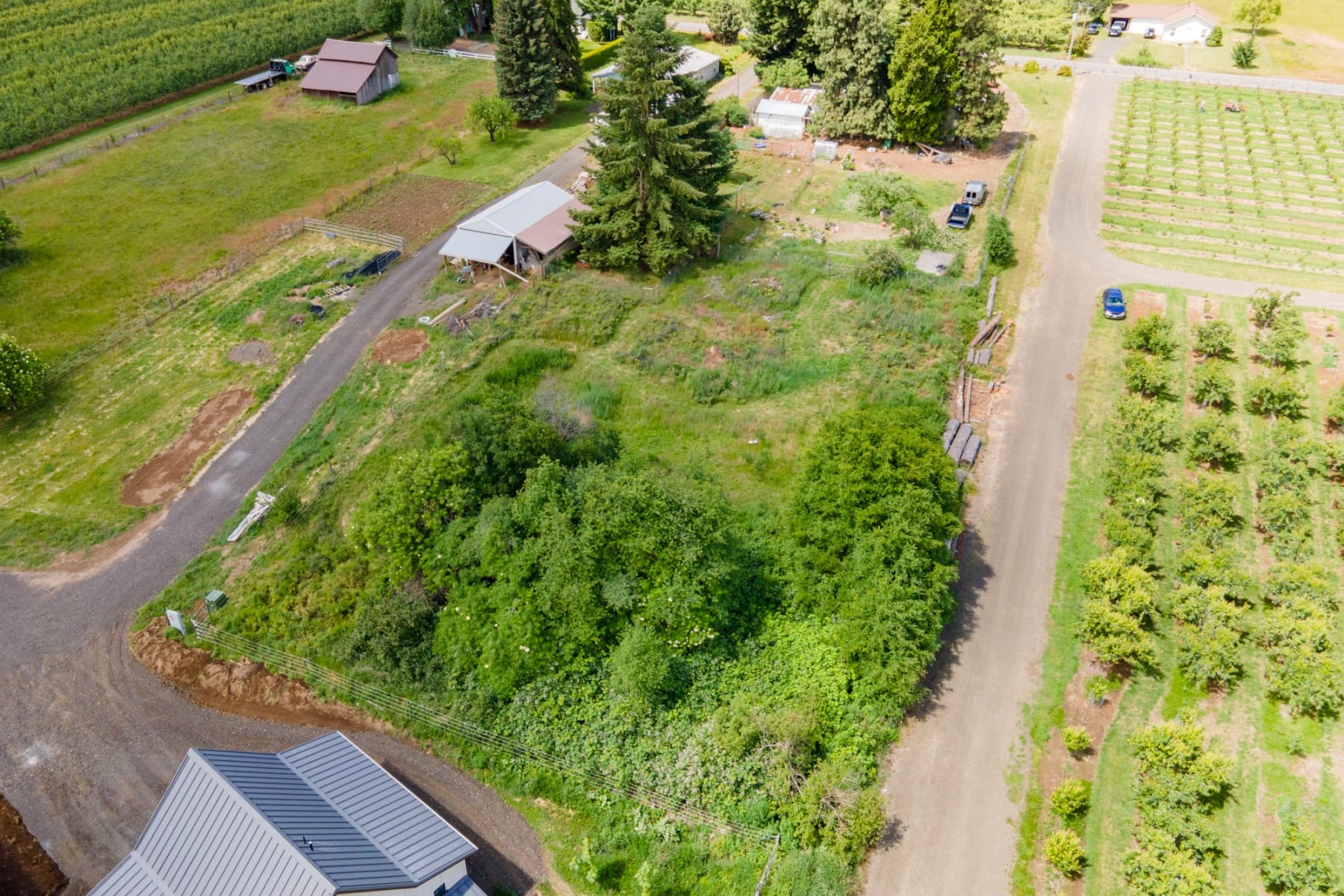  6455 TROUT CREEK RIDGE RD Mt Hood Prkdl, OR 97041 - 物件實景