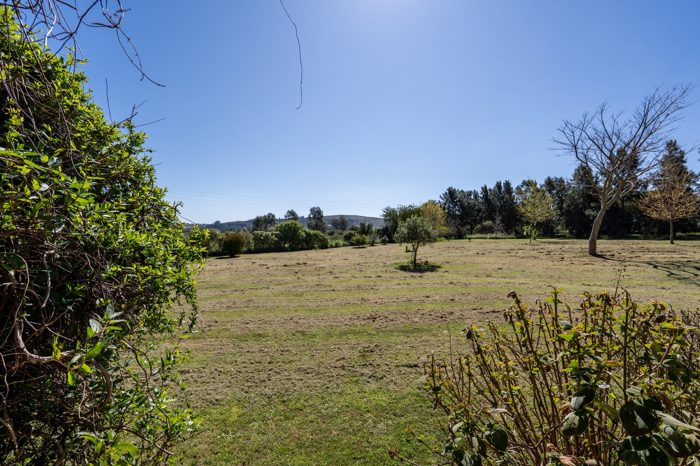 Farm in Lapataia with three buildings. - 物件實景