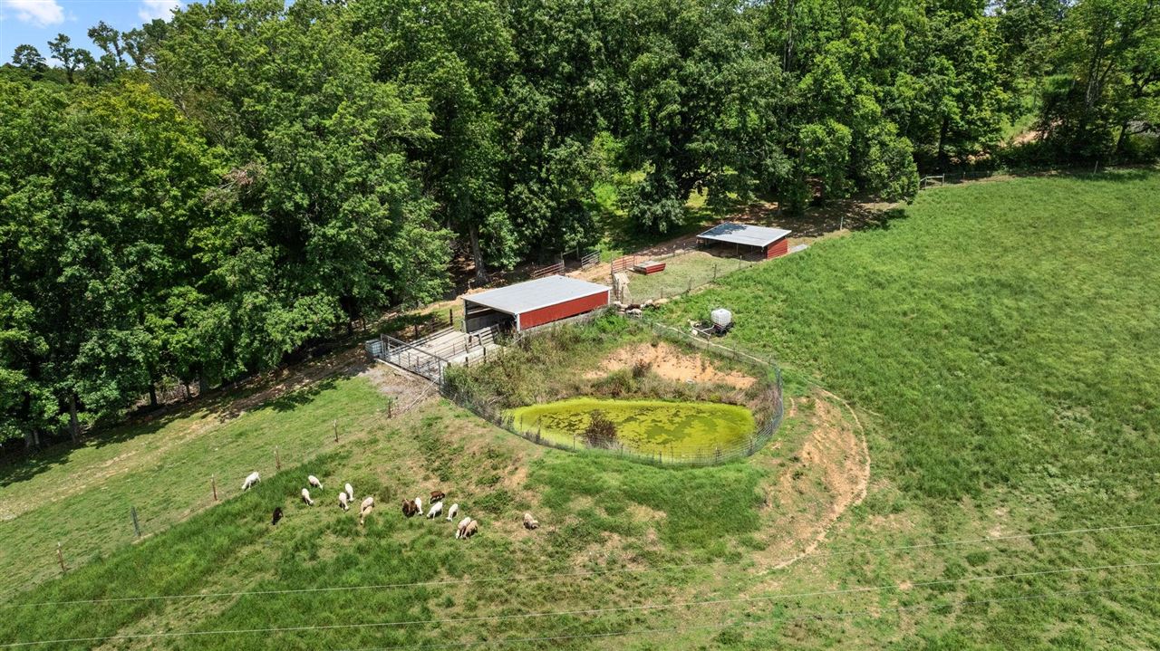 Franklin, Kentucky, 42134, United States, 5 Bedrooms Bedrooms, ,3 BathroomsBathrooms,Residential,For Sale,1903592