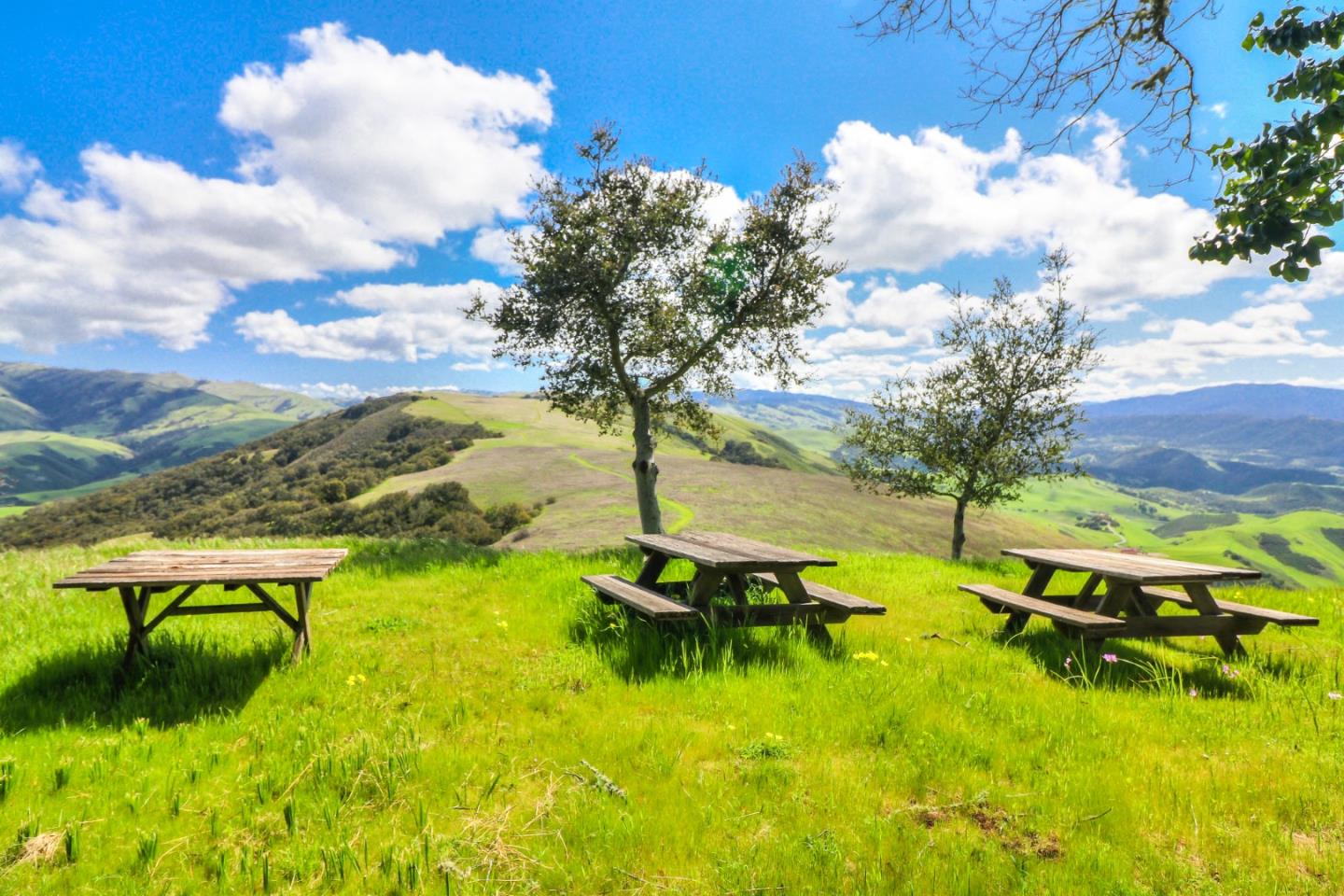 Carmel Valley, California, 93924, United States, 7 Bedrooms Bedrooms, ,8 BathroomsBathrooms,Residential,For Sale,1873936