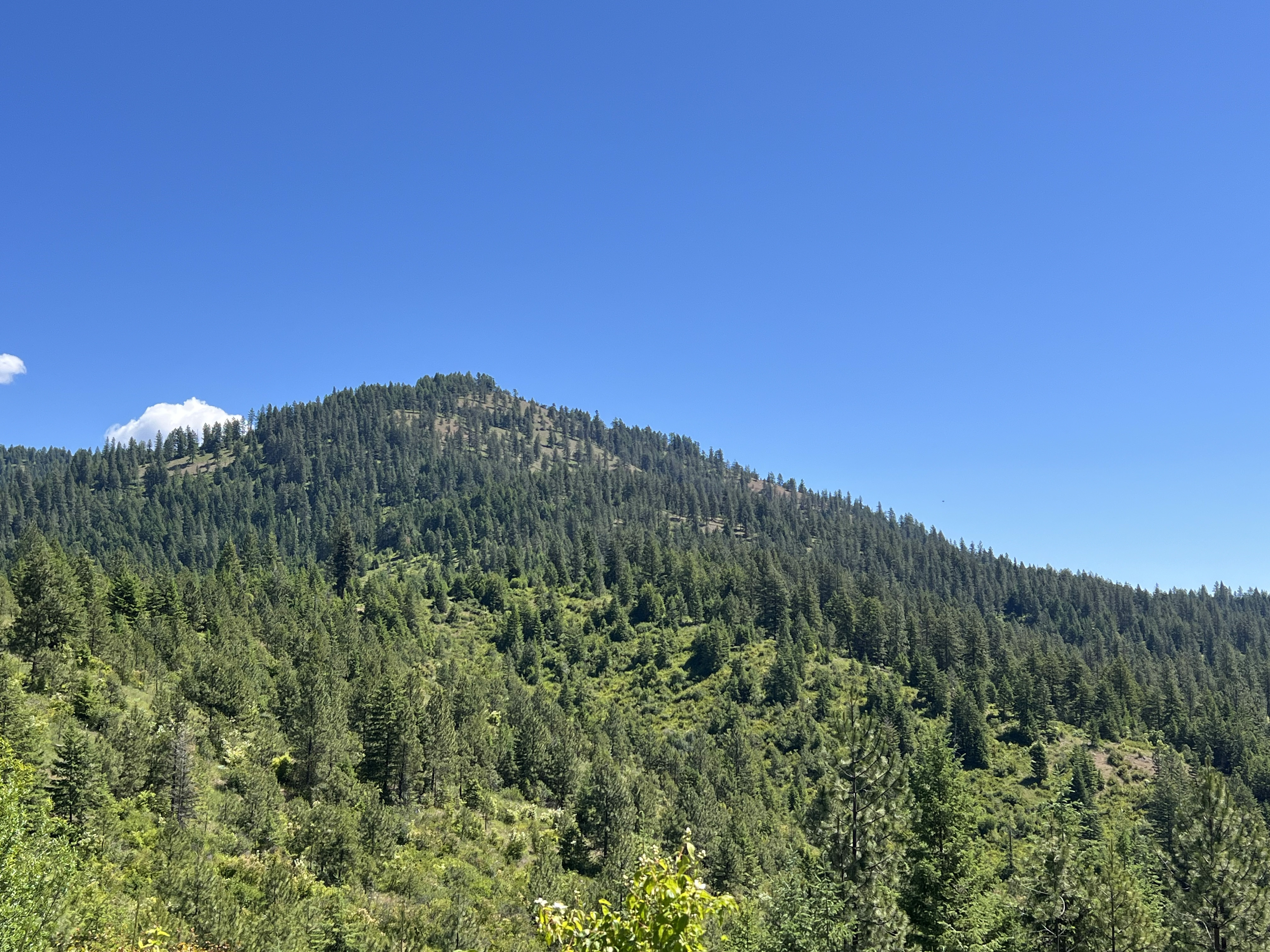 Loon Lake, Washington, 99148, United States, ,Residential,For Sale,1922836
