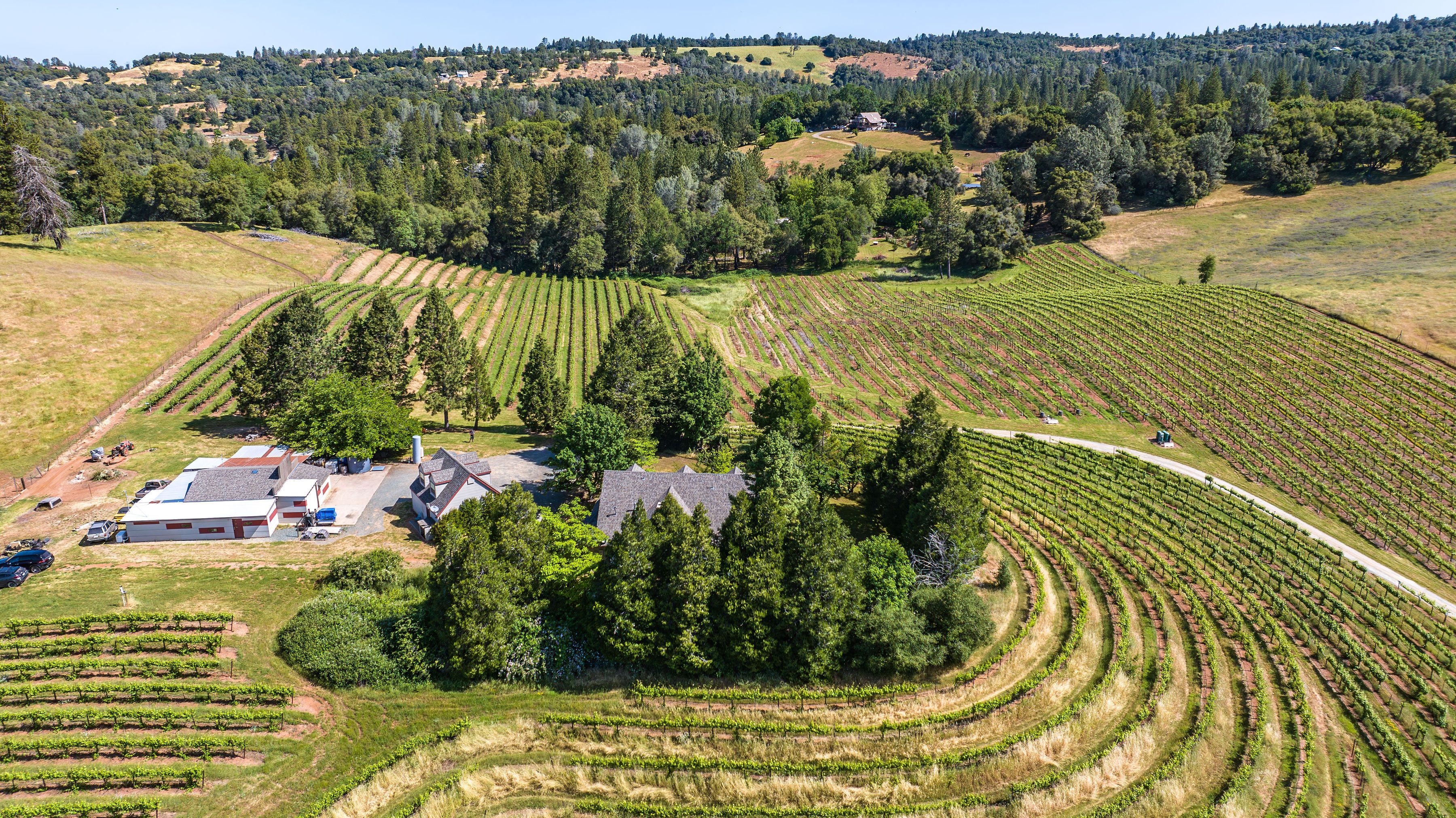  22 Acres • Panoramic Views • Unmatched Privacy • Idyllic Ranch Estate - 物件實景