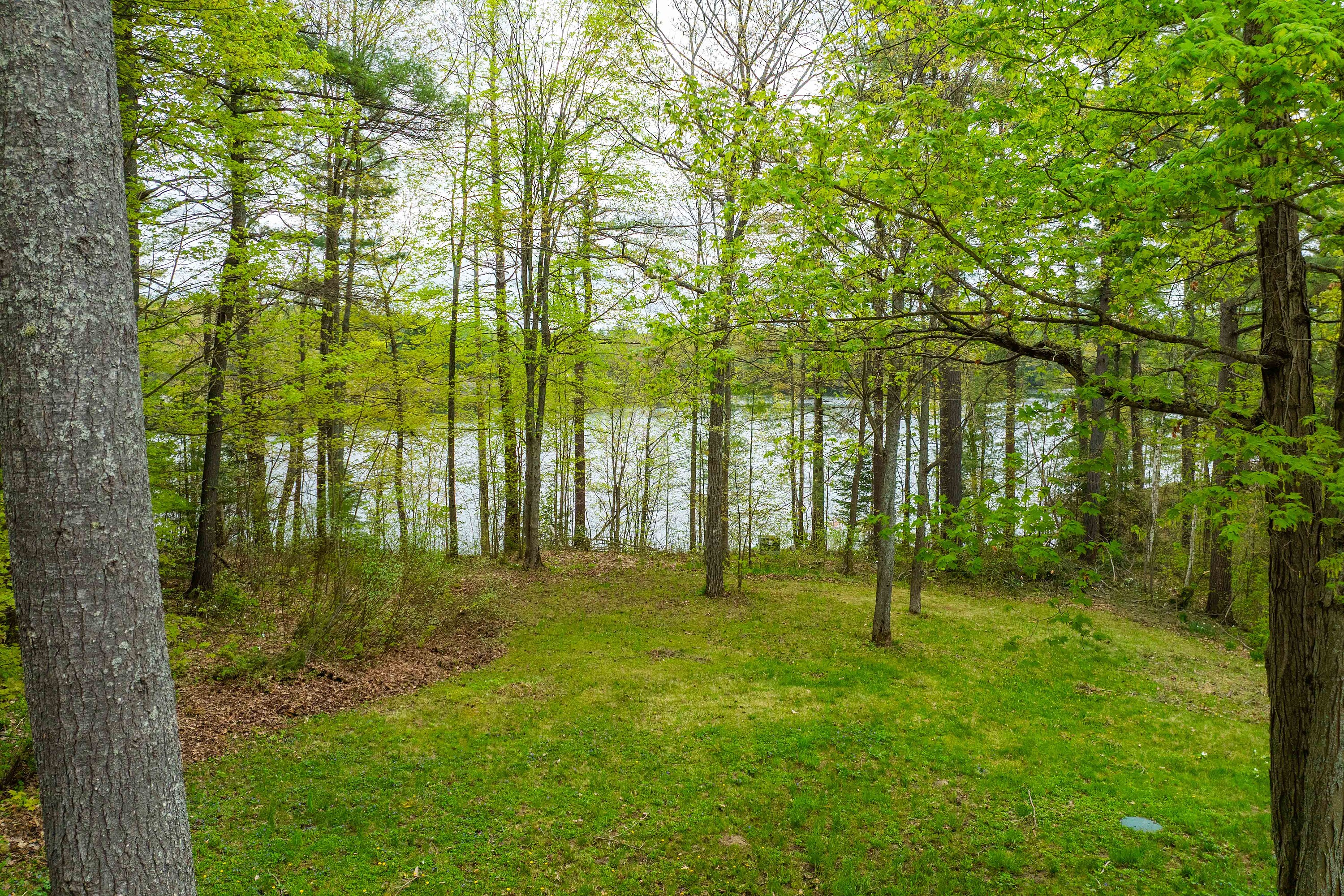  Bass Lake Best of Both Worlds - 物件實景