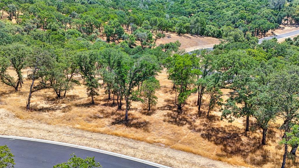 El Dorado Hills, California, 95762, United States, ,Land,For Sale,1993399