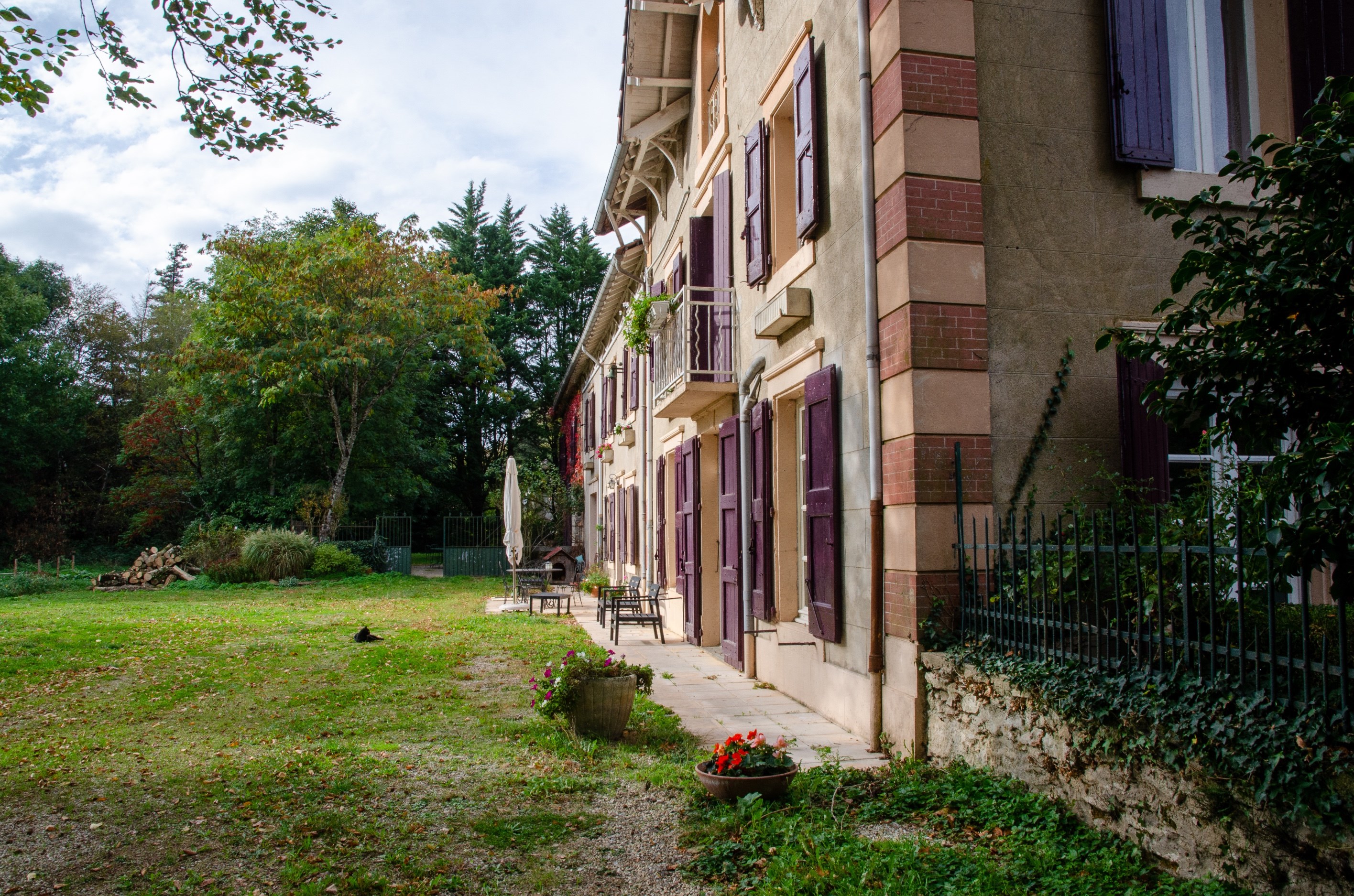  Maison de Maître and gîtes with a view of the Montagne Noire - 物件實景