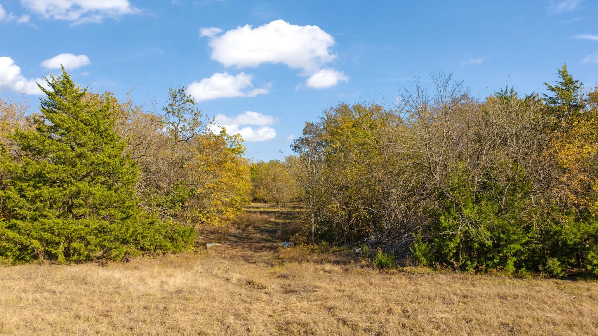 Honey Grove, Texas, 75446, United States, ,Land,For Sale,1992343
