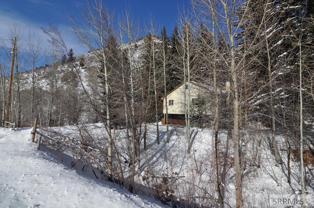 IRWIN, Idaho, 83428, United States, 2 Bedrooms Bedrooms, ,2 BathroomsBathrooms,Residential,For Sale,1936977