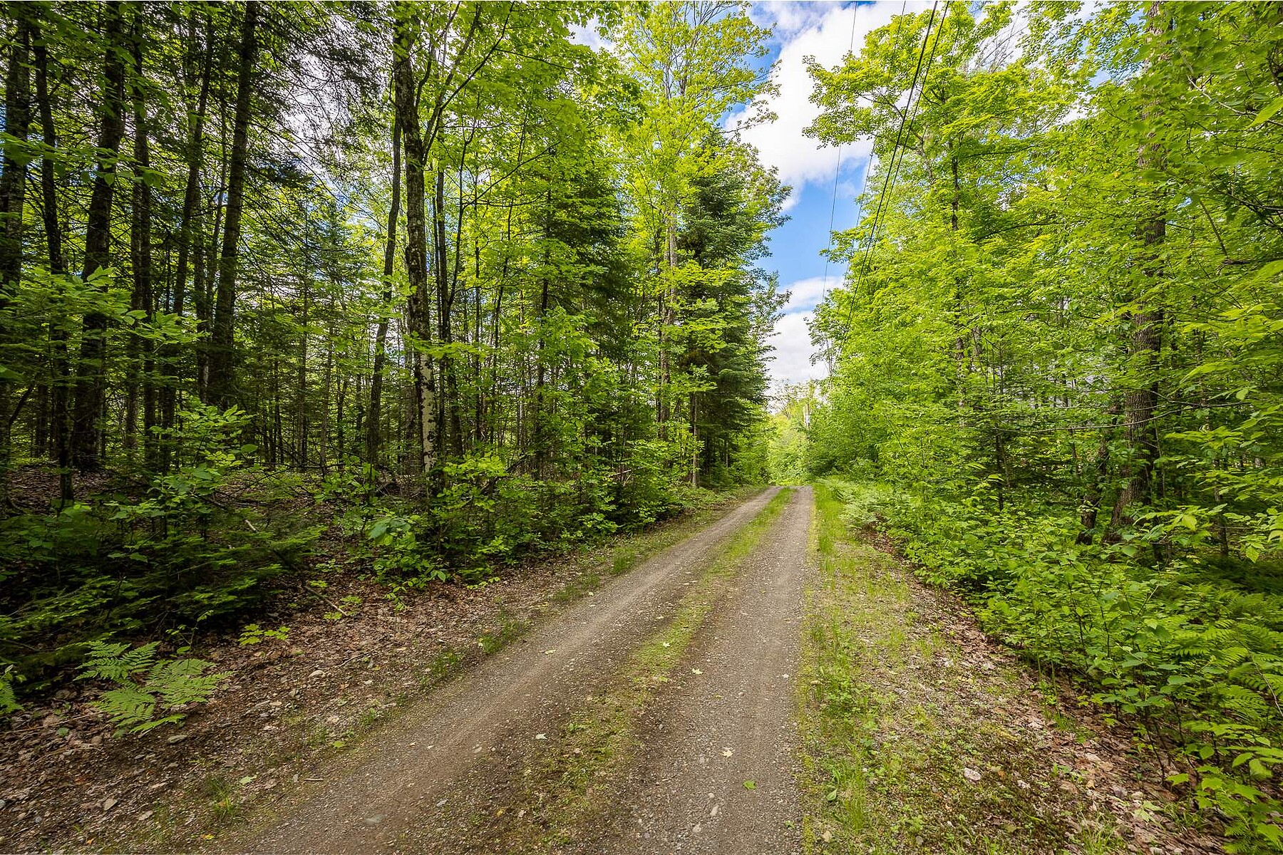  Austin, Eastern Townships - 物件實景