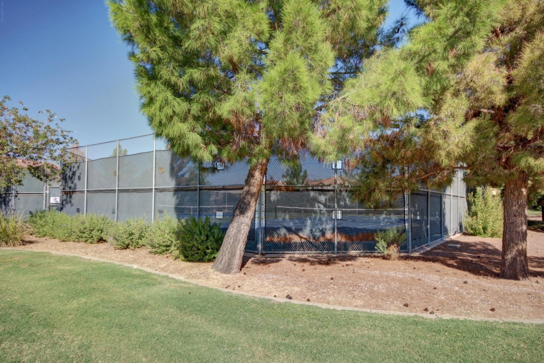  1271 E Canyon Creek Drive  Gilbert, AZ - 物件實景