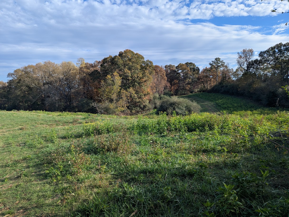 Bowdon, Georgia, 30108, United States, ,Land,For Sale,1989904