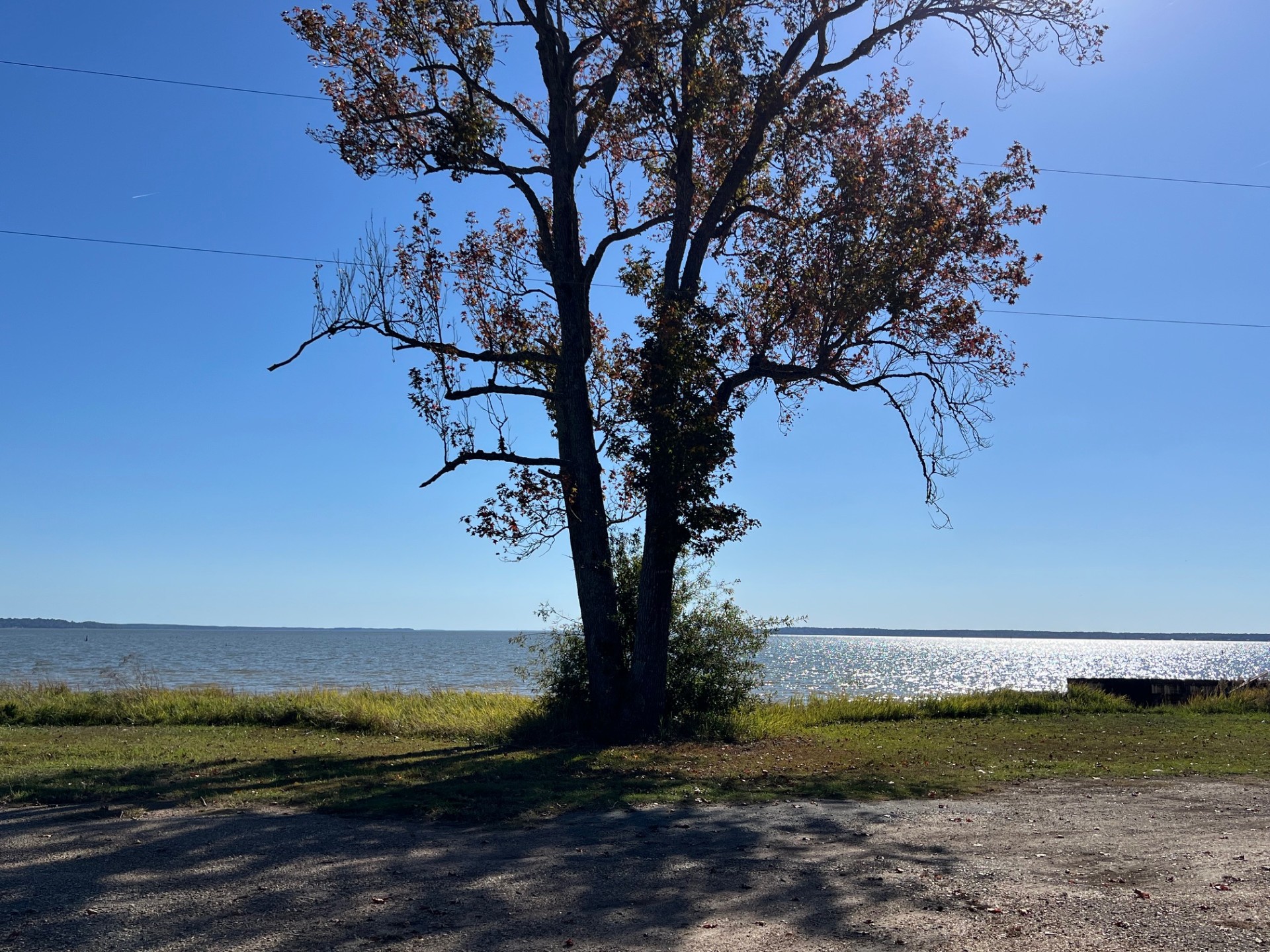 Converse, Louisiana, 71419, United States, ,Residential,For Sale,1995387