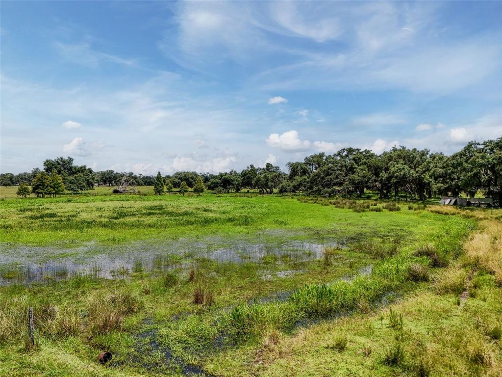 Myakka City, Florida, 34251, United States, ,Land,For Sale,1908306