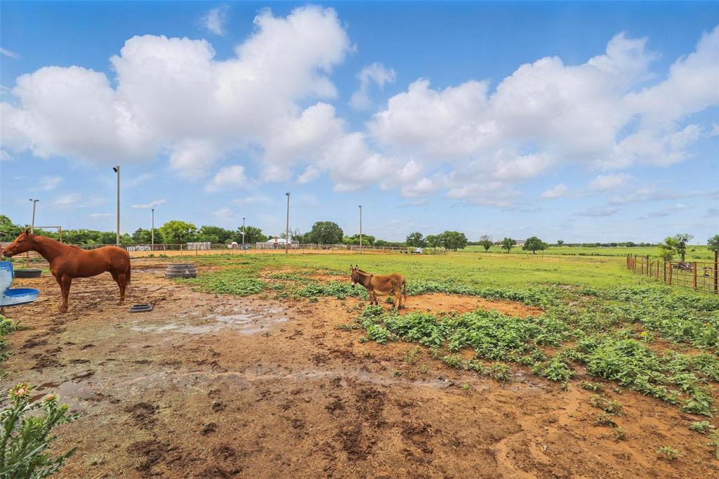 Weatherford, Texas, 76087, United States, 4 Bedrooms Bedrooms, ,3 BathroomsBathrooms,Residential,For Sale,1787575