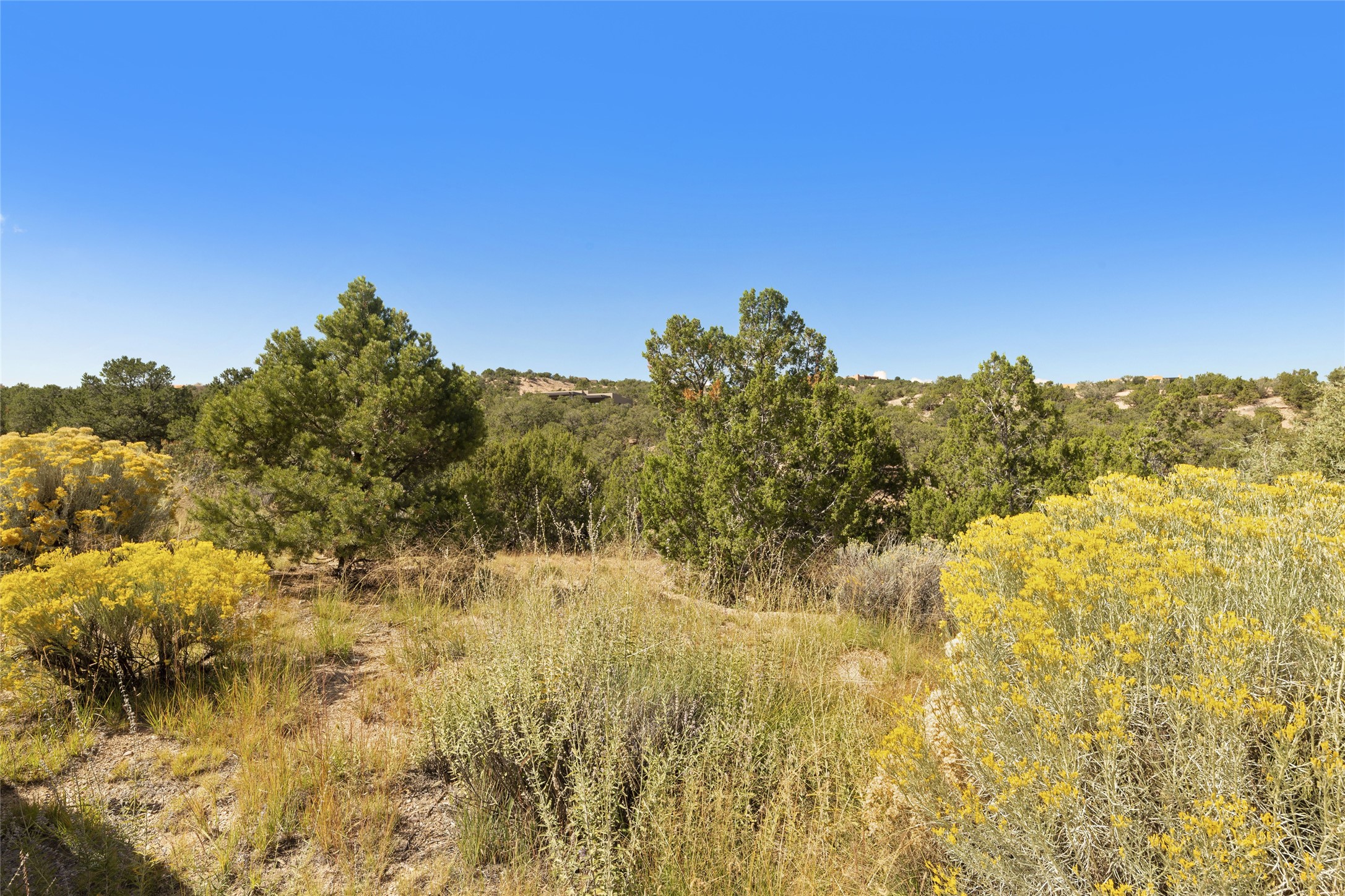  2901 Aspen View, Lot 185 - 物件實景