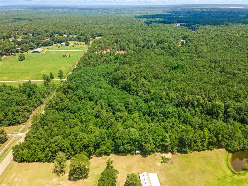 Bush, Louisiana, 70431, United States, ,Land,For Sale,1987560