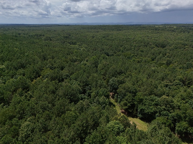 Cove, Arkansas, 71937, United States, 2 Bedrooms Bedrooms, ,Residential,For Sale,1938285