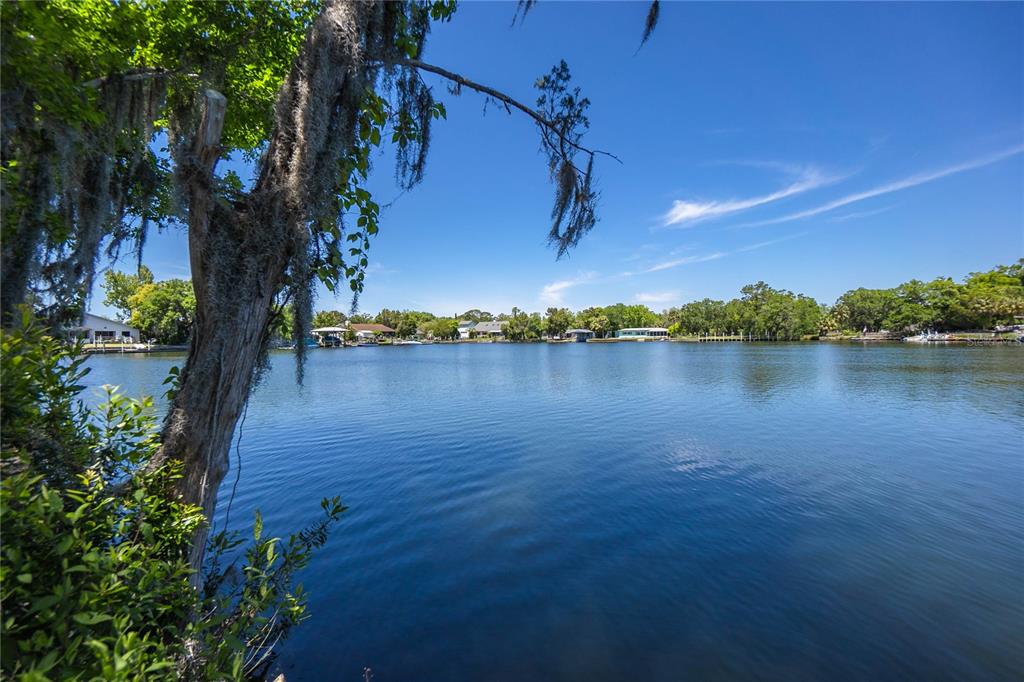 Crystal River, Florida, 34428, United States, 3 Bedrooms Bedrooms, ,2 BathroomsBathrooms,Residential,For Sale,1840194