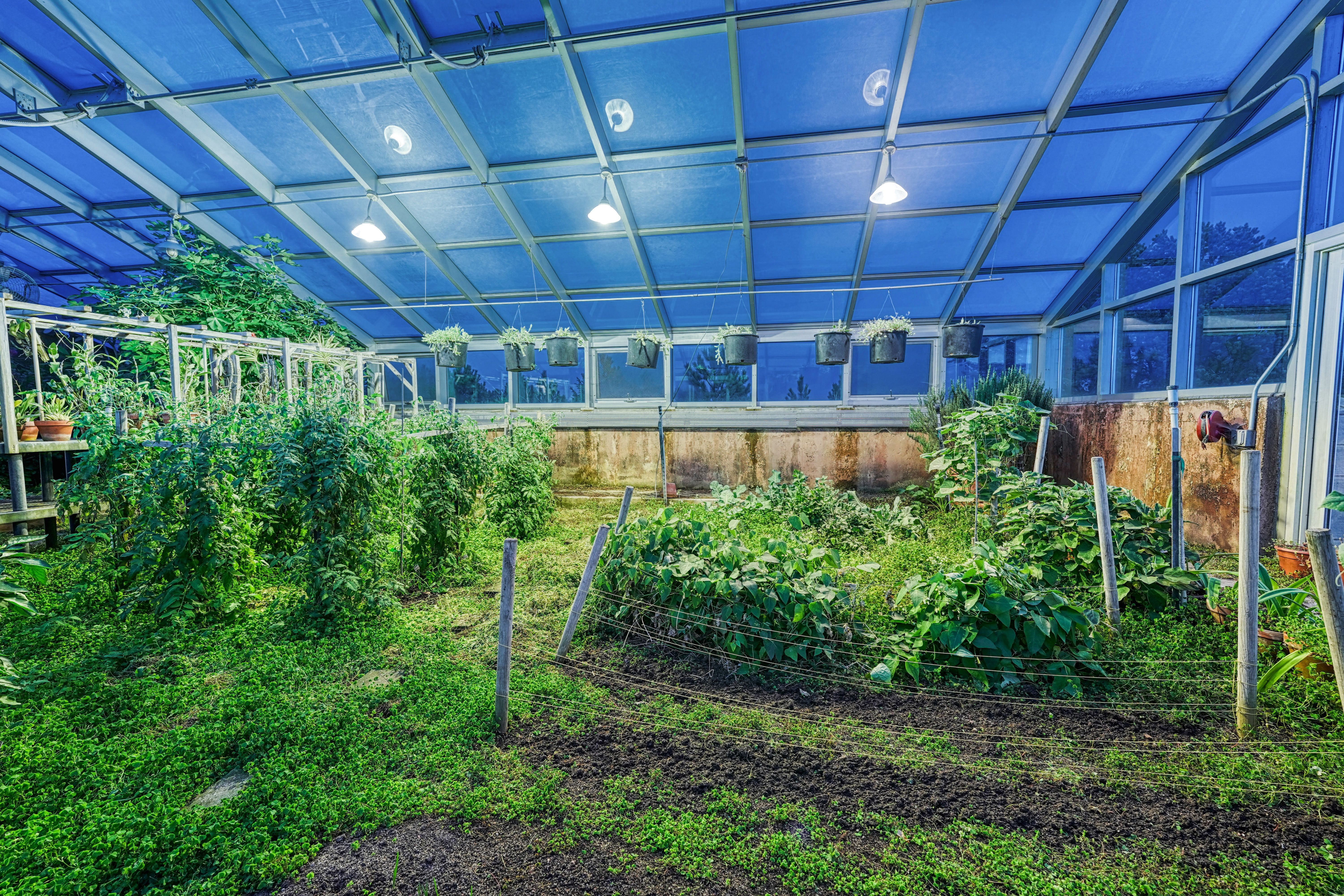  Rancho Bendito: A Sanctuary of Sustainability, Serenity, and Starlight - 物件實景