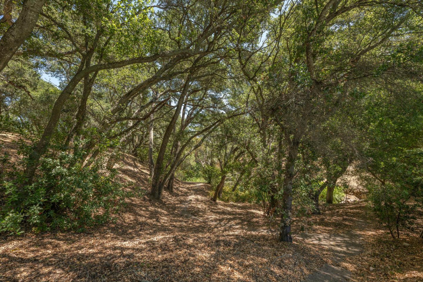 Woodside, California, 94062, United States, 4 Bedrooms Bedrooms, ,5 BathroomsBathrooms,Residential,For Sale,1911860