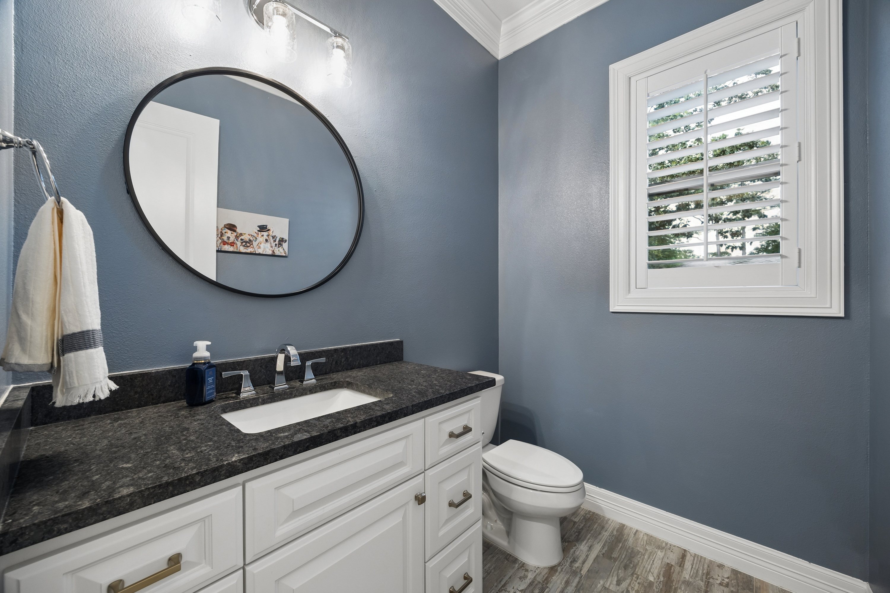  10030 Green Tree Road - 物件實景