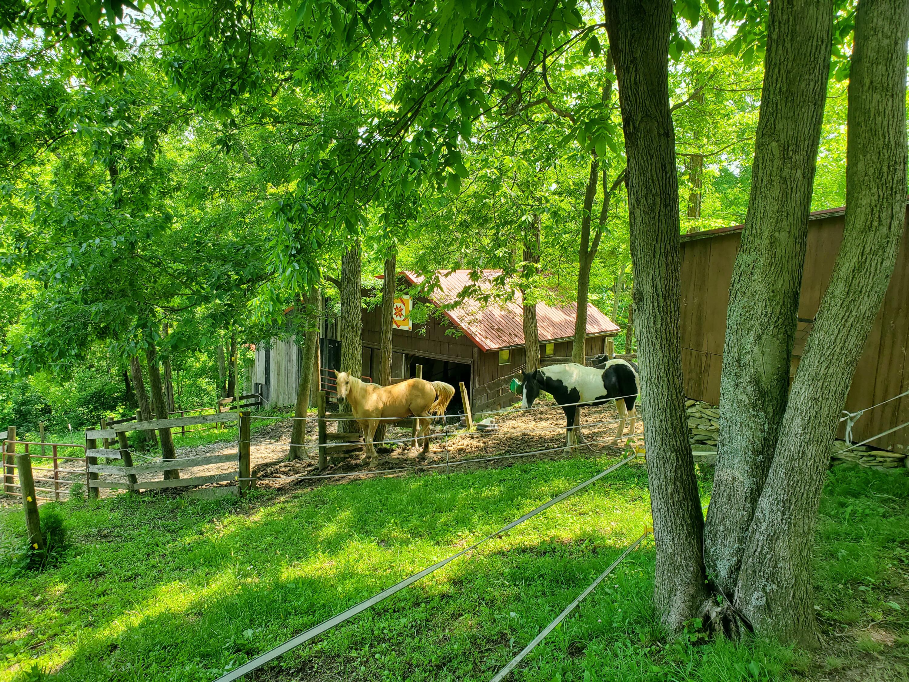 Sadieville, Kentucky, 40370, United States, 4 Bedrooms Bedrooms, ,3 BathroomsBathrooms,Residential,For Sale,1839886