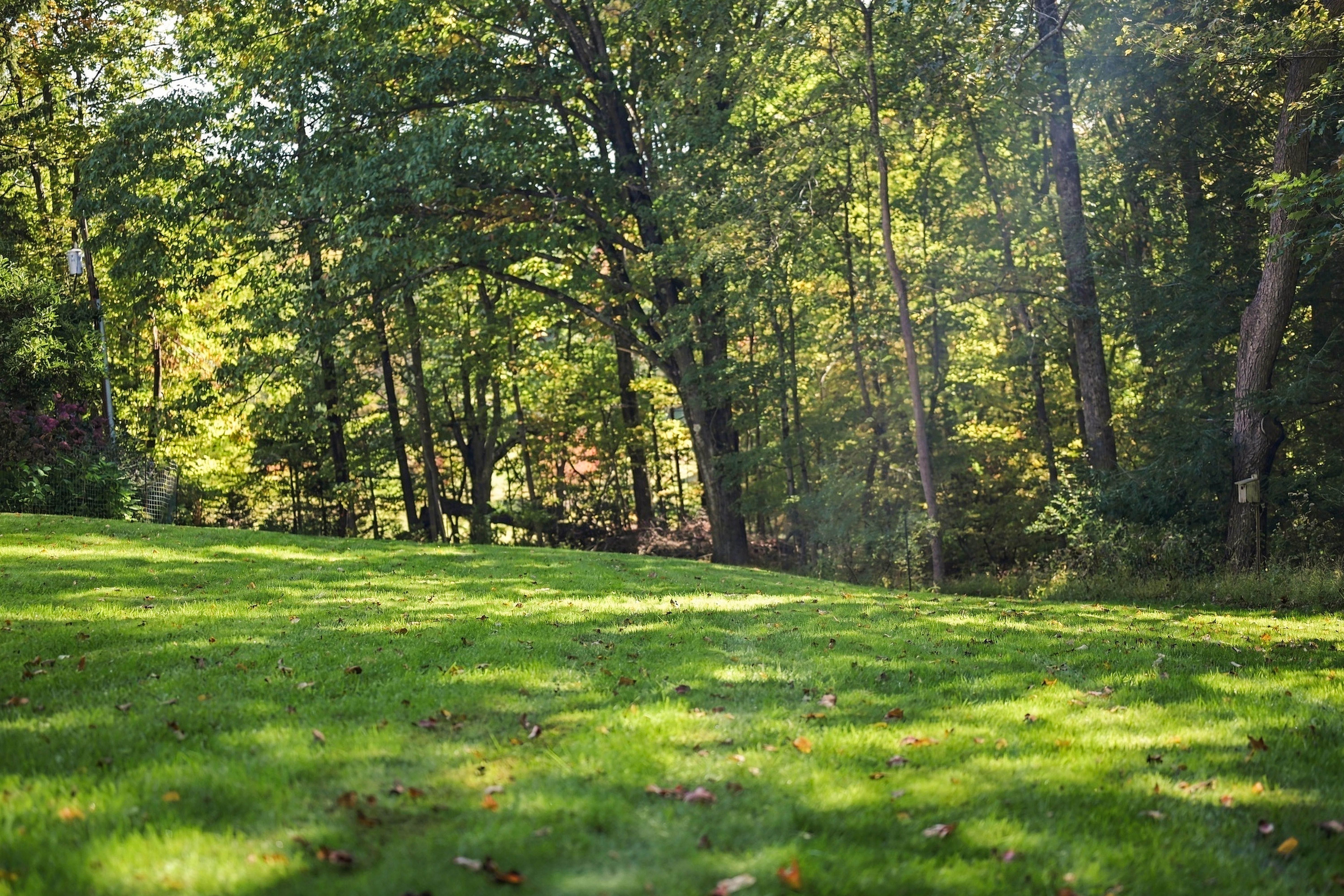  139 Forelle Lane, Ligonier, PA 15658 - 物件實景