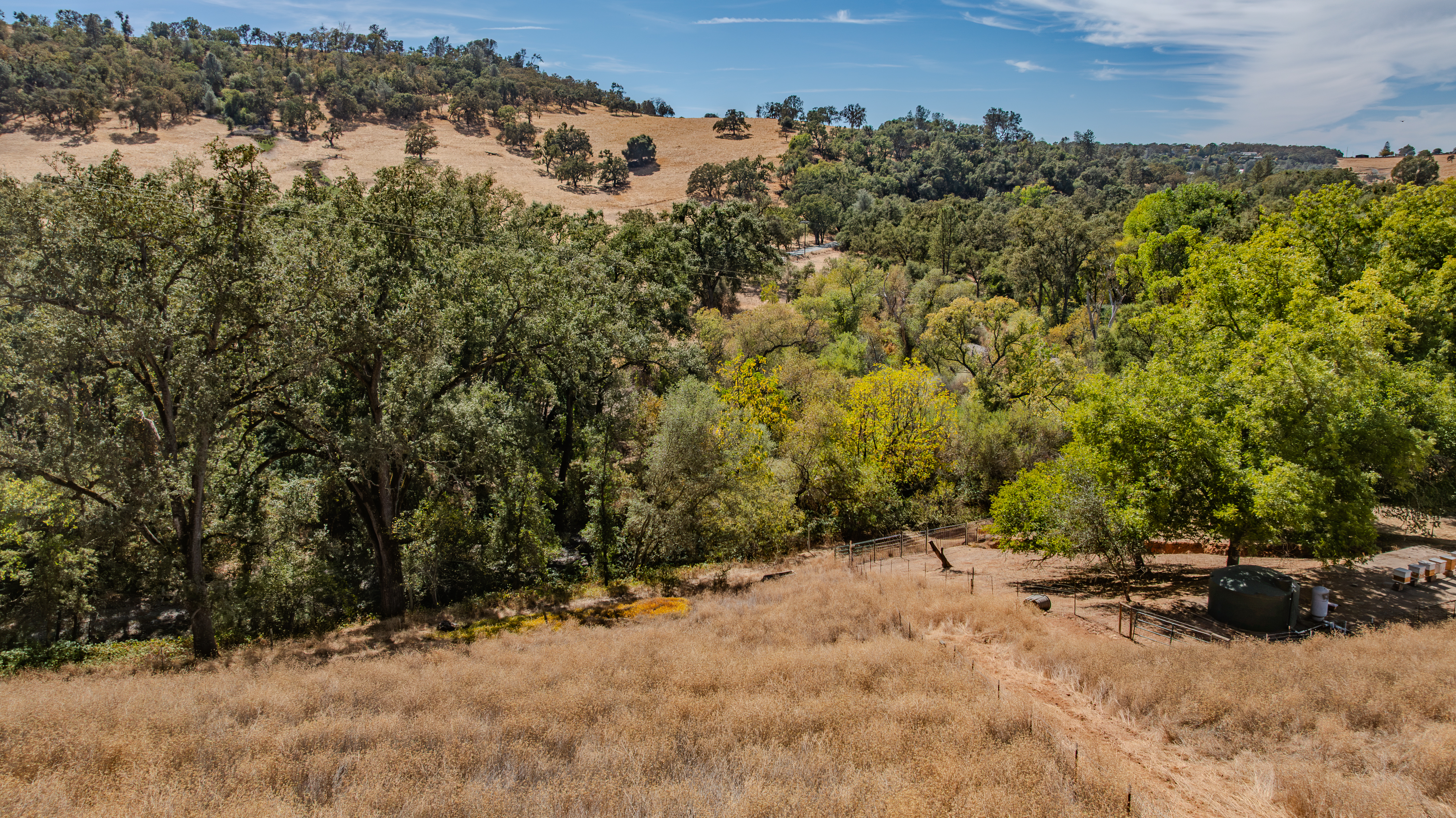  Creek Frontage - Views - Stroll to Downtown Sutter Creek - 物件實景