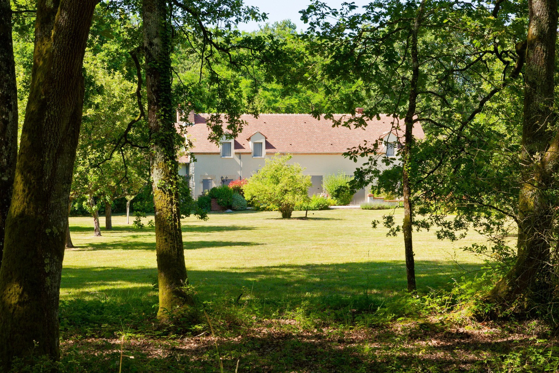  Charming 220 sqm countryhouse  5 bedrooms  pool  8,000 sqm pond  3.5 ha lan… - 物件實景